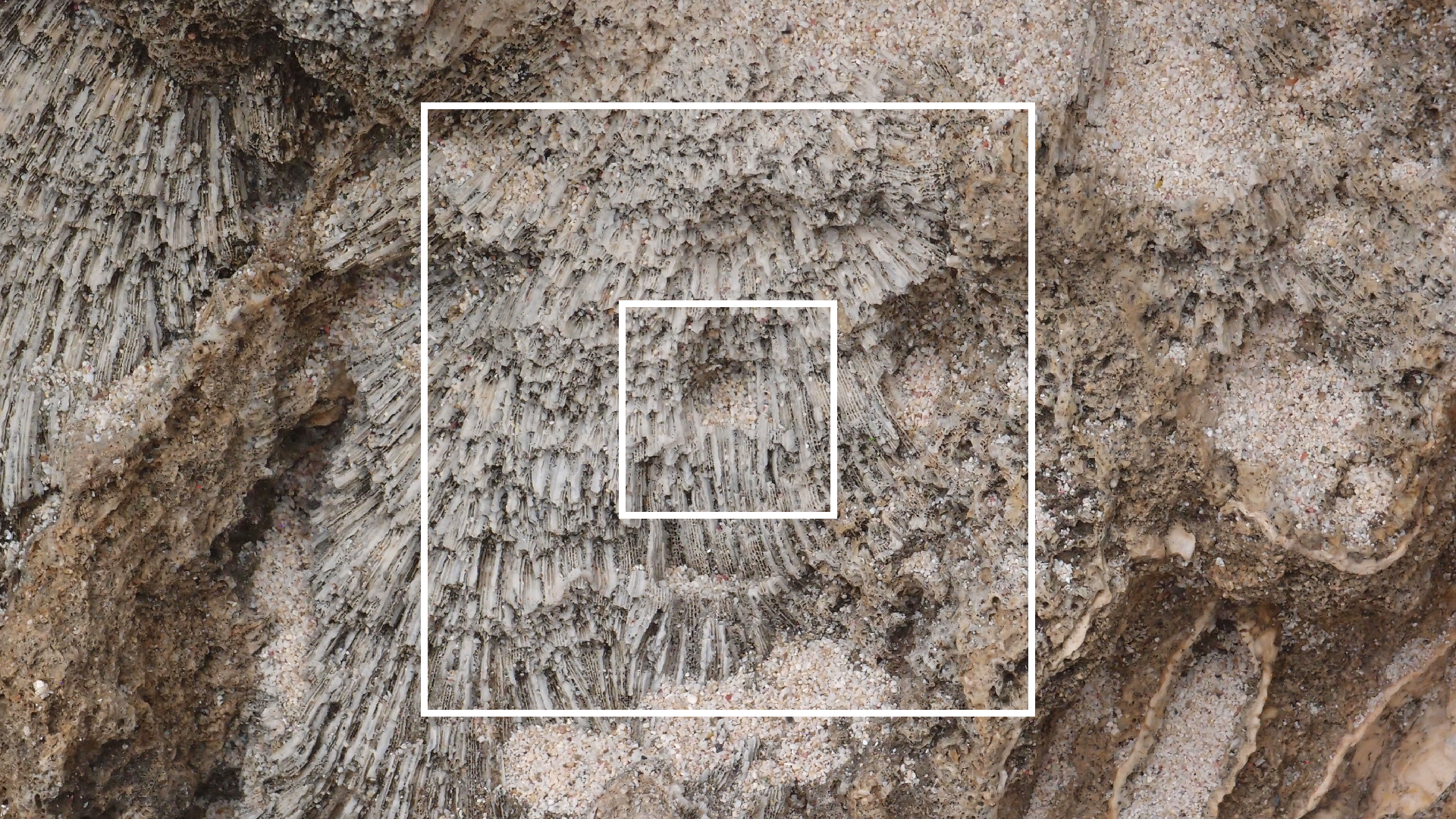 2022-04-14 02 Am Strand und im Wasser (Quallenvideo) (Foto, Video)