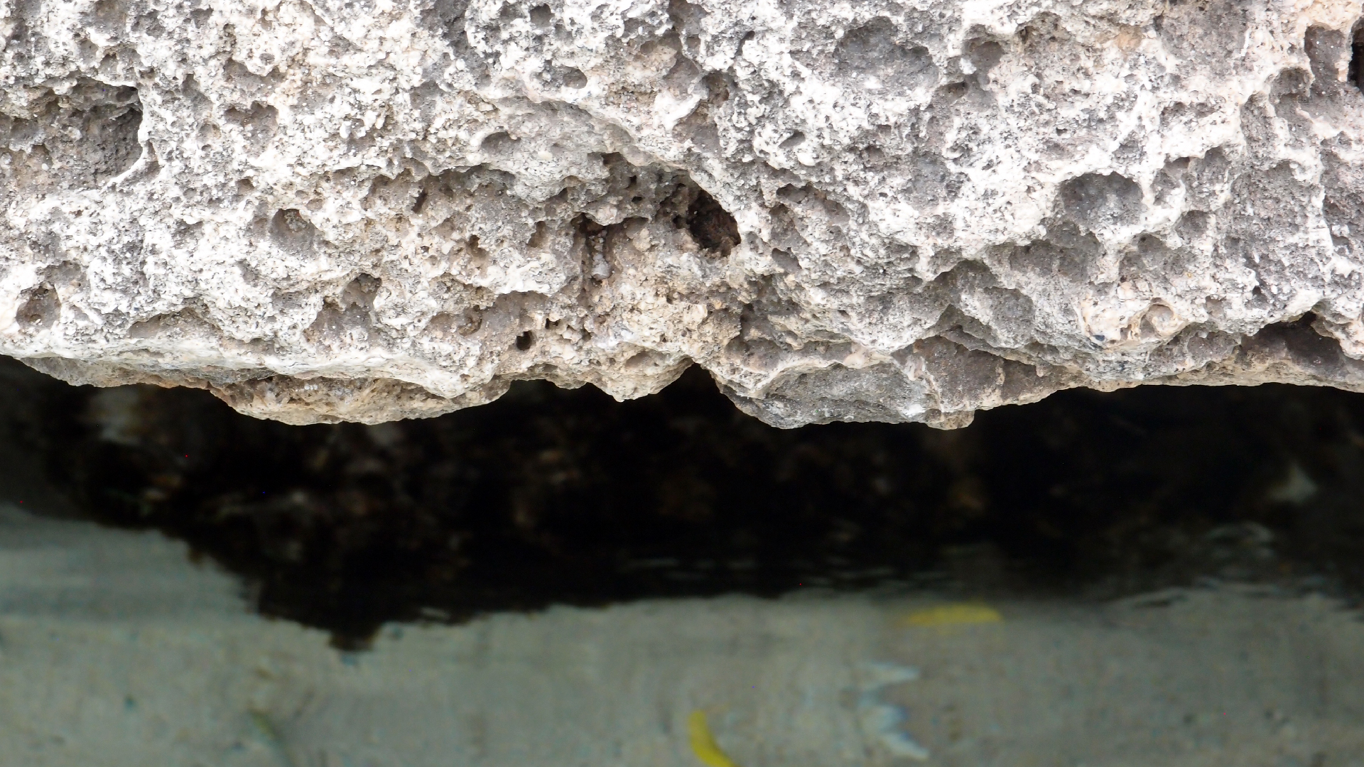 2022-04-14 02 Am Strand und im Wasser (Quallenvideo) (Foto, Video)