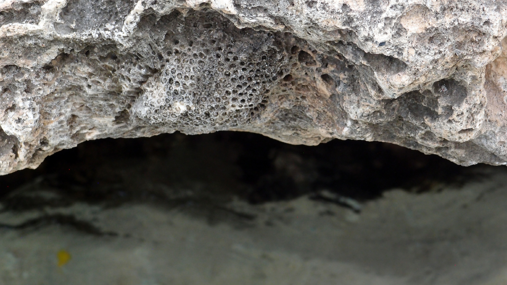 2022-04-14 02 Am Strand und im Wasser (Quallenvideo) (Foto, Video)