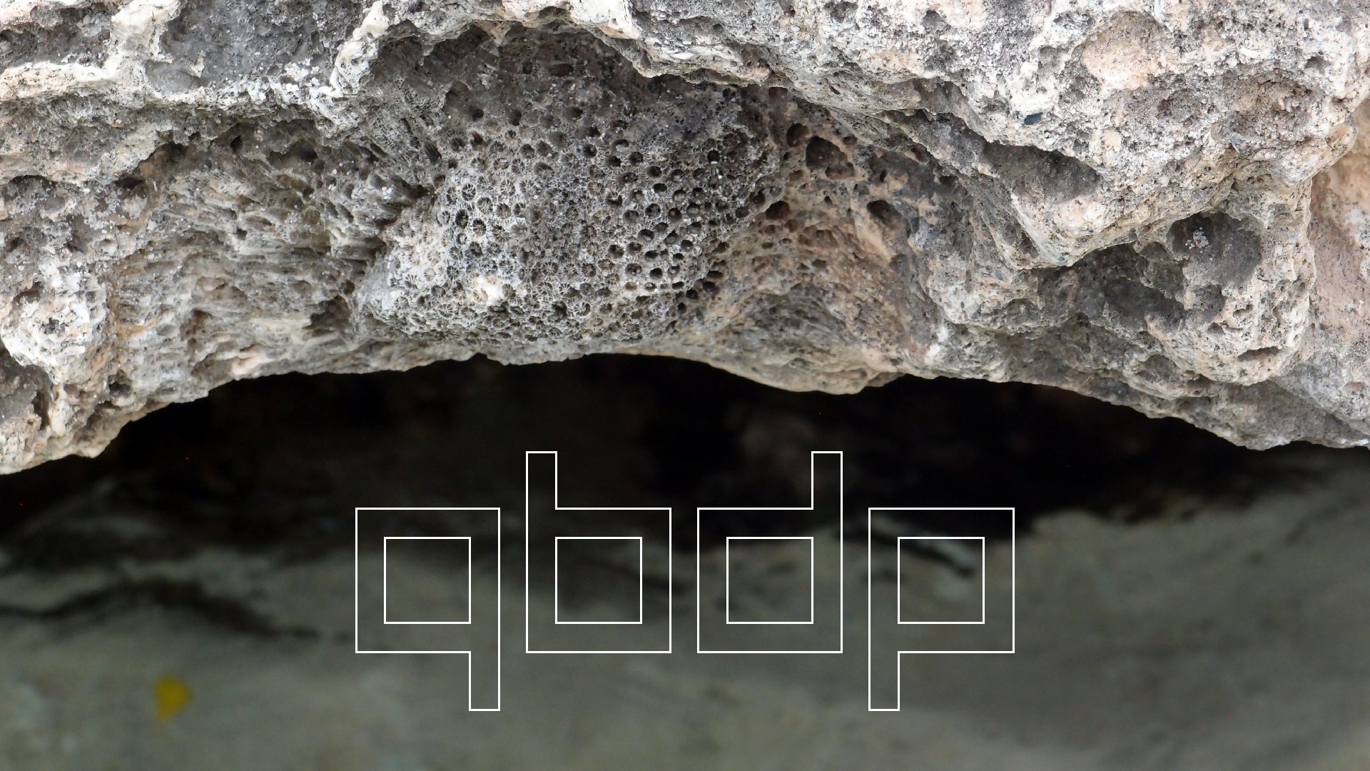 2022-04-14 02 Am Strand und im Wasser (Quallenvideo) (Foto, Video)