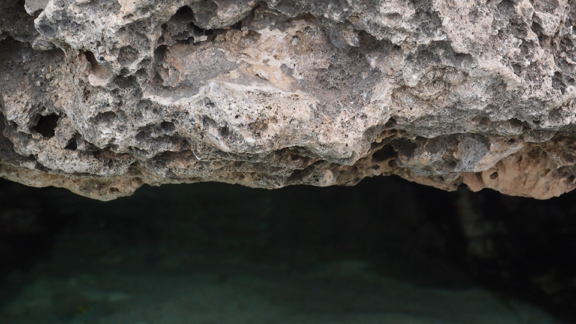 2022-04-14 02 Am Strand und im Wasser (Quallenvideo) (Foto, Video)