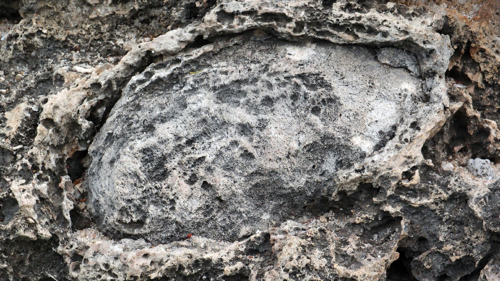 2022-04-14 02 Am Strand und im Wasser (Quallenvideo) (Foto, Video)