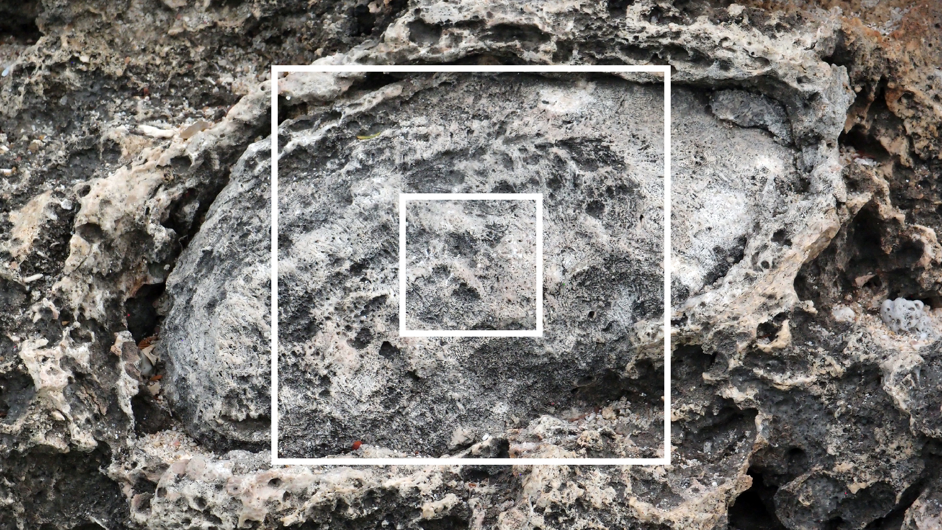 2022-04-14 02 Am Strand und im Wasser (Quallenvideo) (Foto, Video)