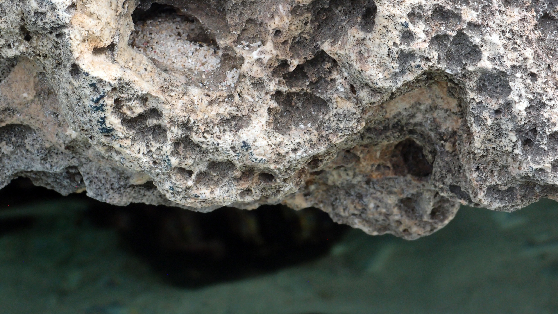 2022-04-14 02 Am Strand und im Wasser (Quallenvideo) (Foto, Video)