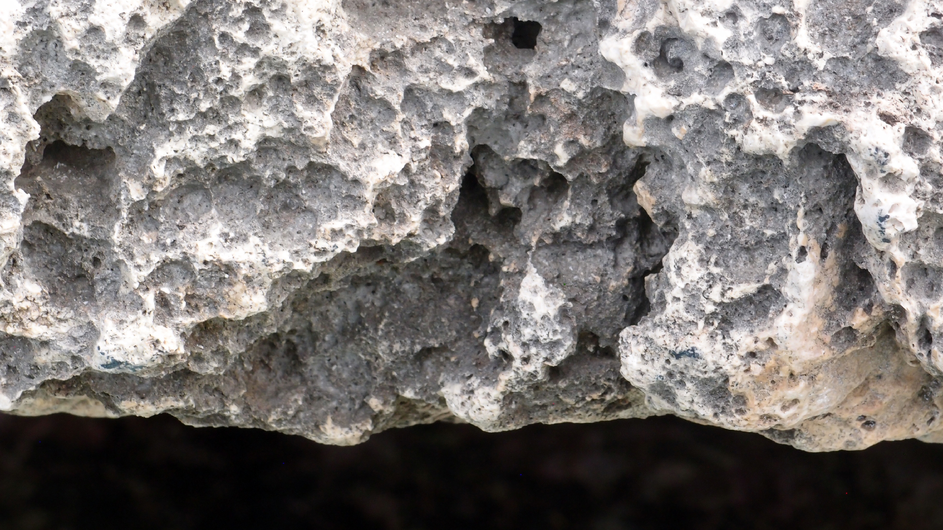 2022-04-14 02 Am Strand und im Wasser (Quallenvideo) (Foto, Video)