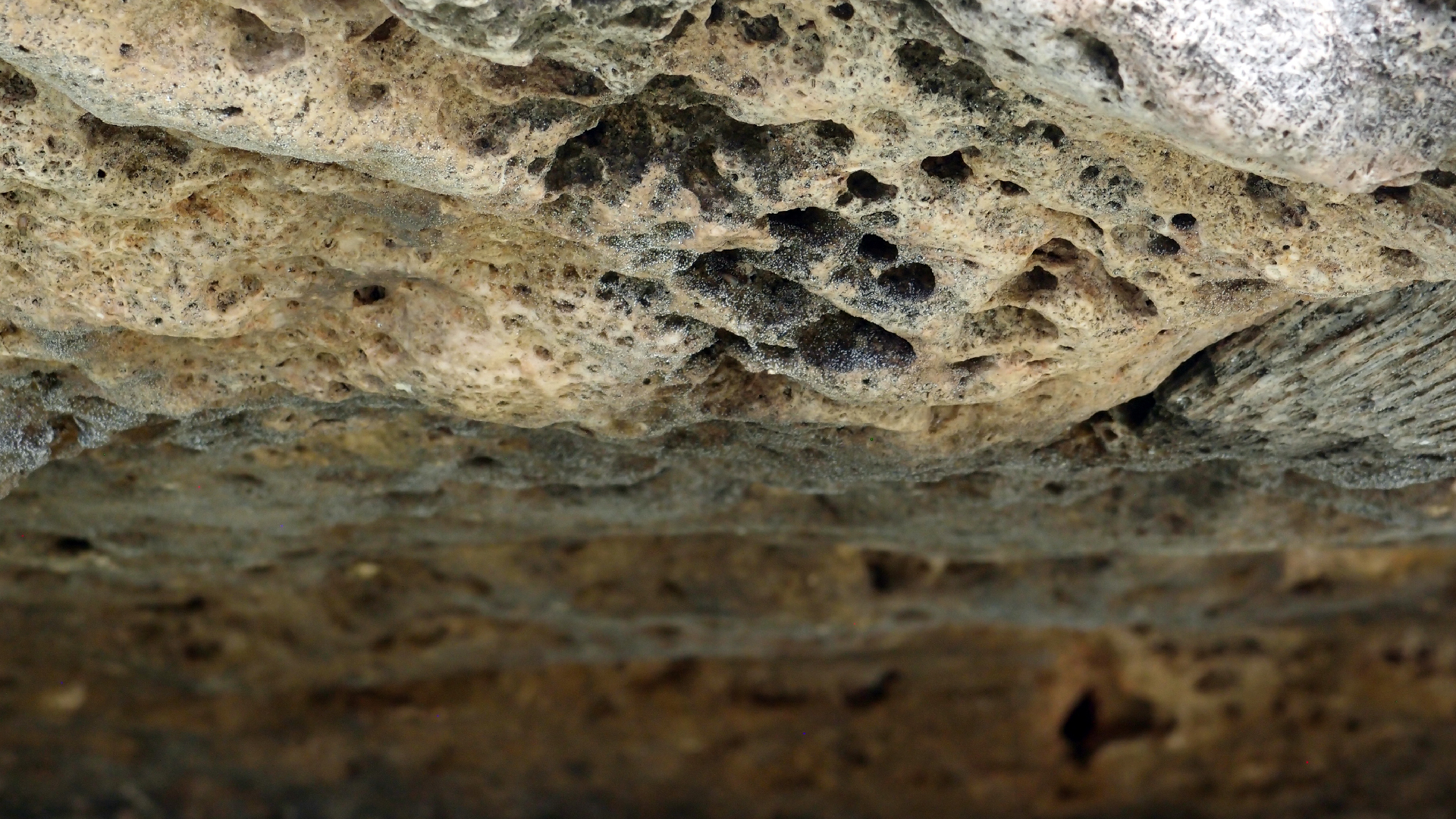 2022-04-14 02 Am Strand und im Wasser (Quallenvideo) (Foto, Video)