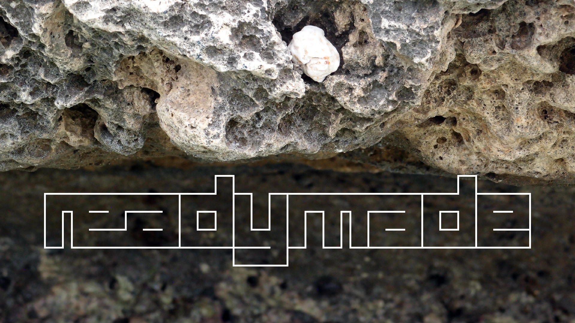 2022-04-14 02 Am Strand und im Wasser (Quallenvideo) (Foto, Video)