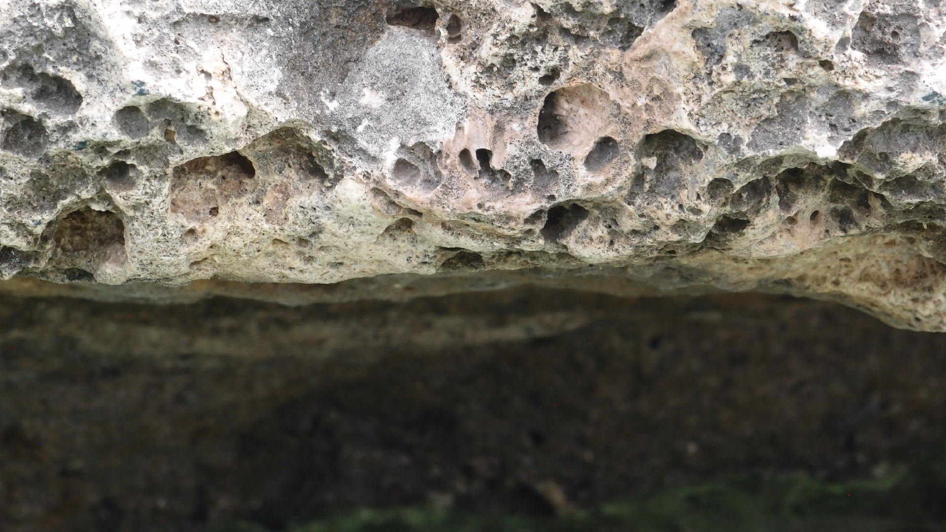 2022-04-14 02 Am Strand und im Wasser (Quallenvideo) (Foto, Video)