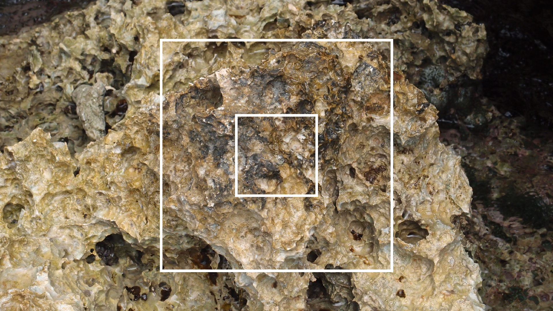 2022-04-14 02 Am Strand und im Wasser (Quallenvideo) (Foto, Video)