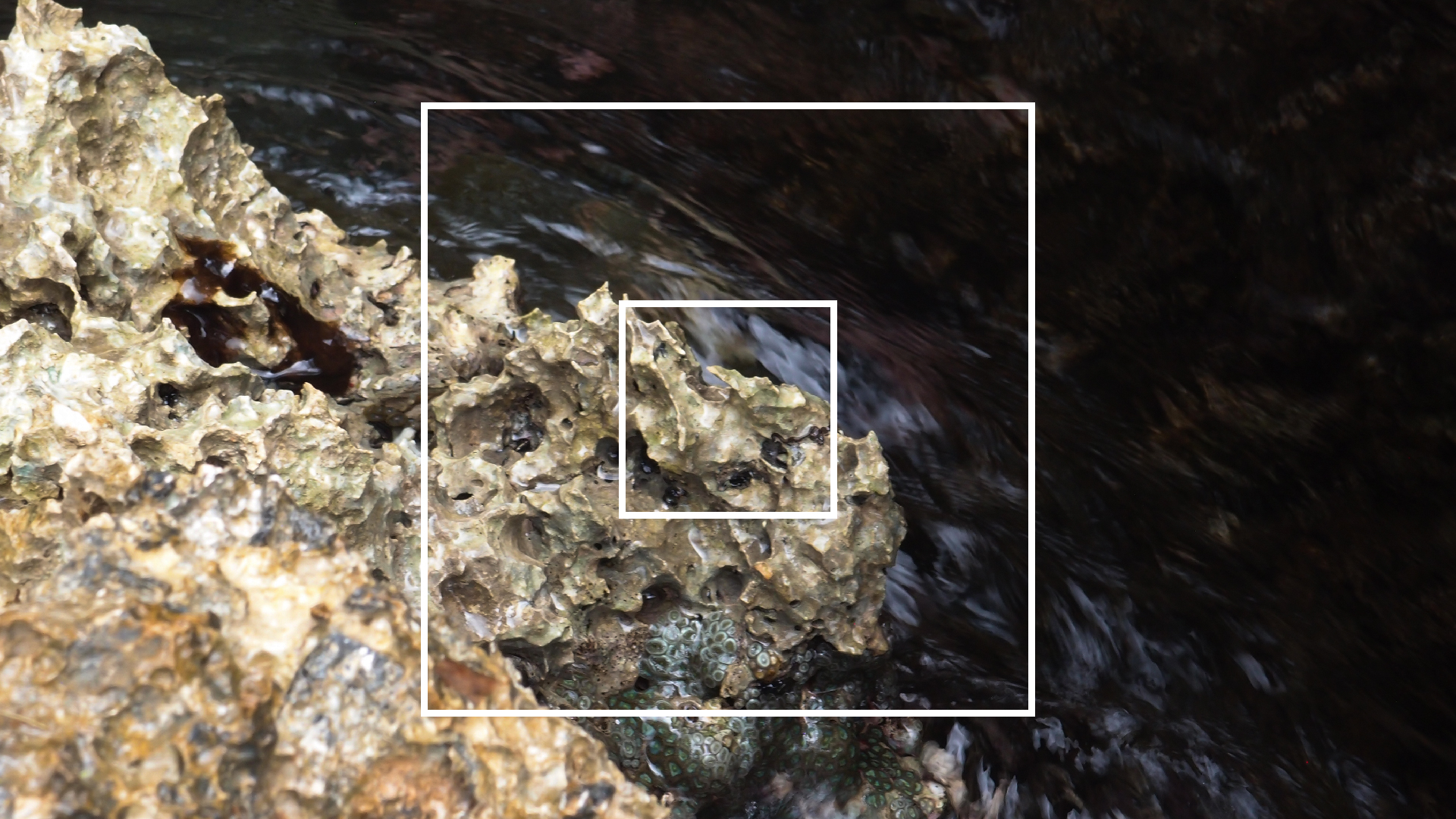 2022-04-14 02 Am Strand und im Wasser (Quallenvideo) (Foto, Video)