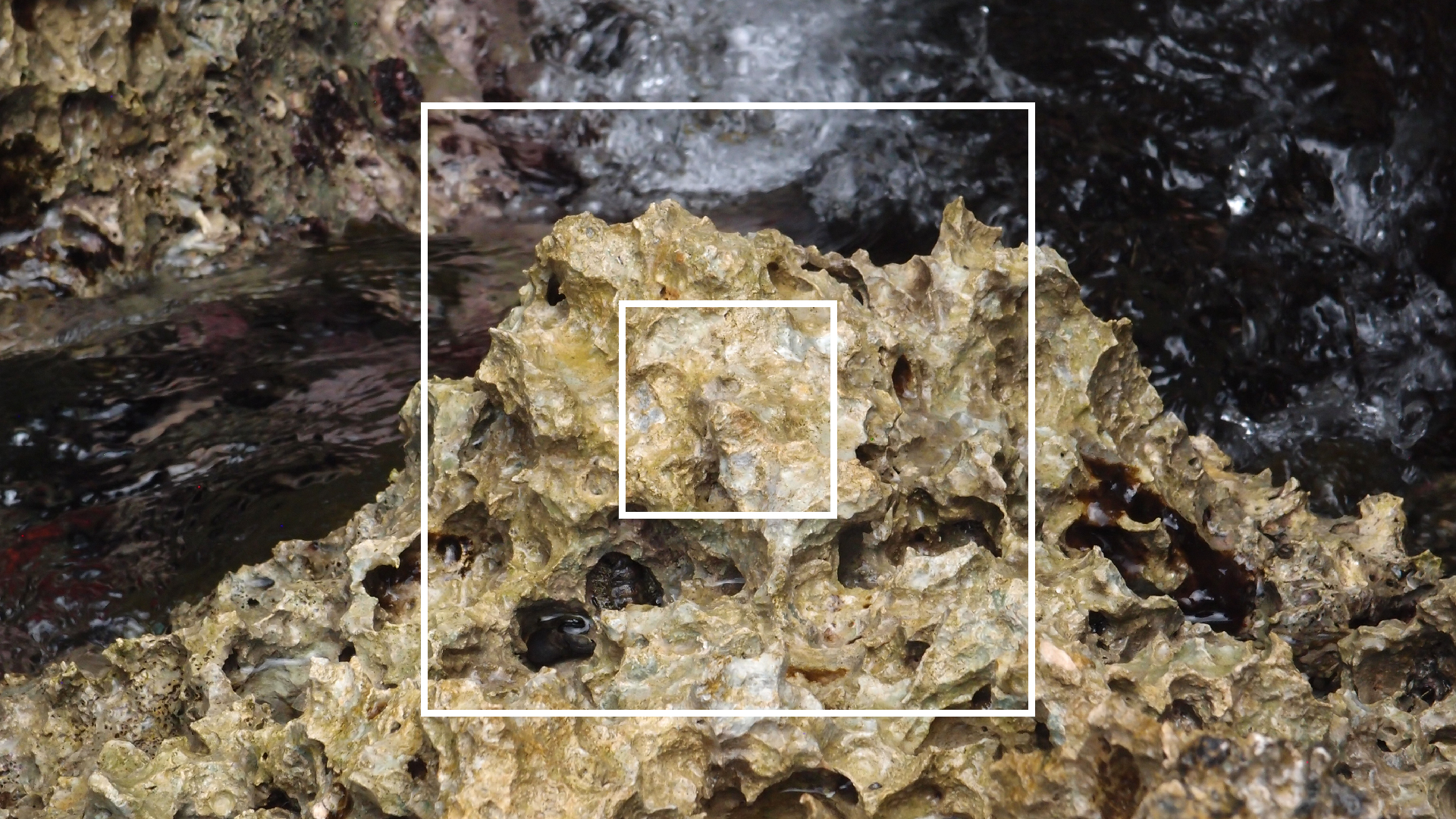 2022-04-14 02 Am Strand und im Wasser (Quallenvideo) (Foto, Video)