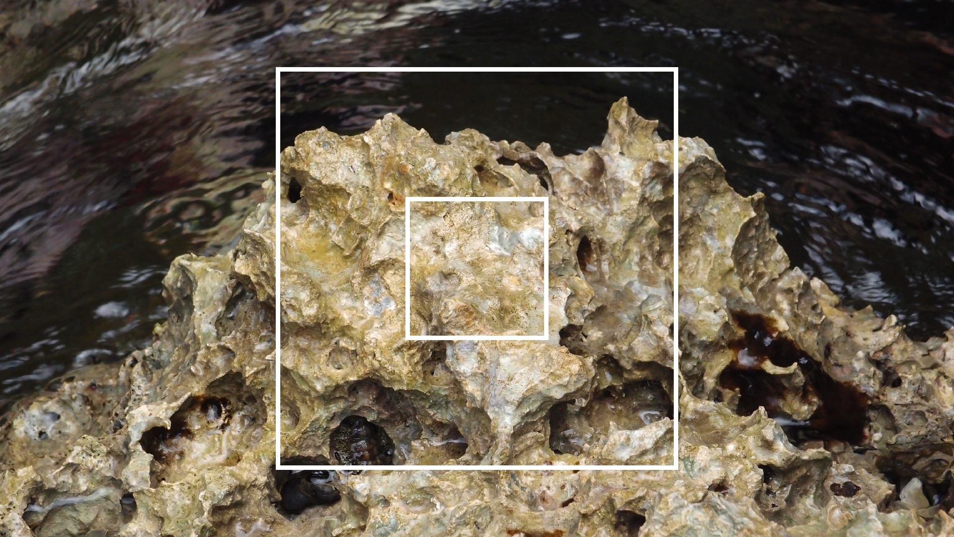 2022-04-14 02 Am Strand und im Wasser (Quallenvideo) (Foto, Video)