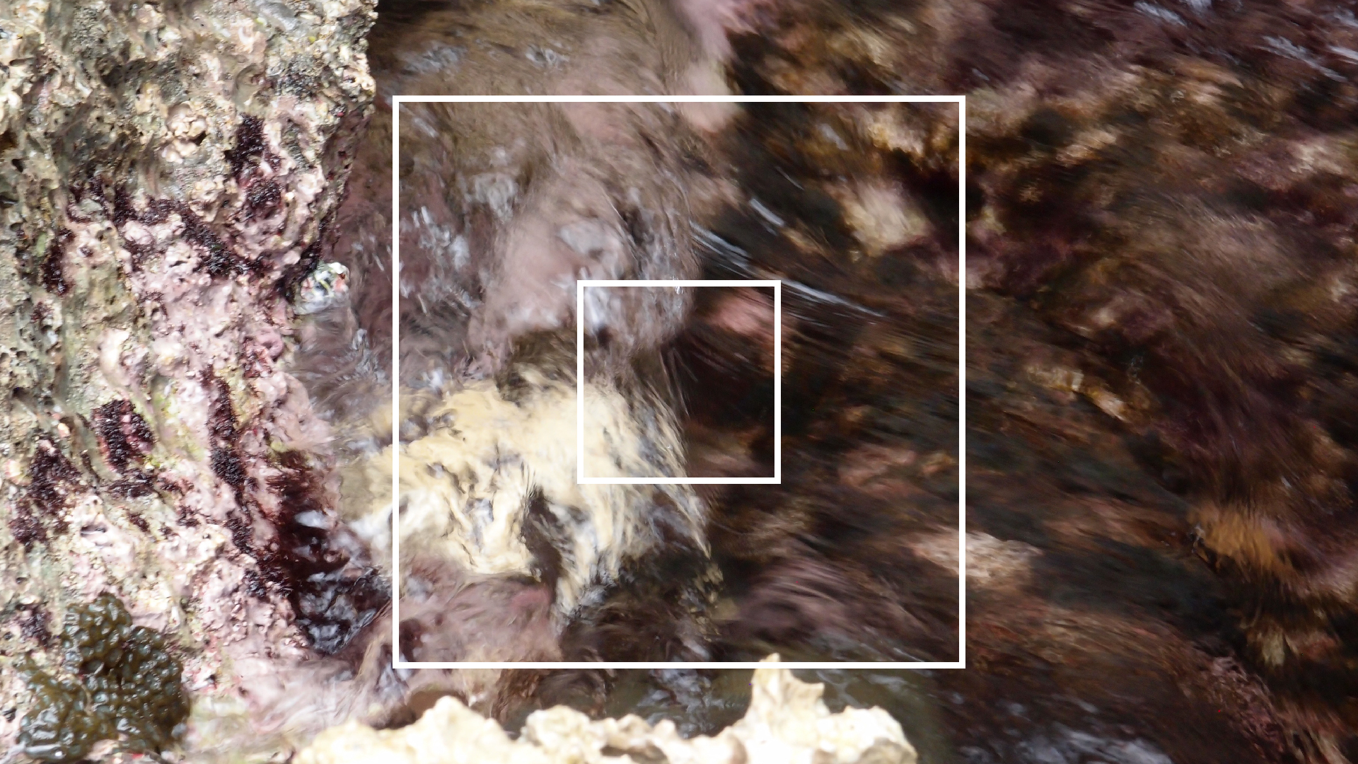 2022-04-14 02 Am Strand und im Wasser (Quallenvideo) (Foto, Video)