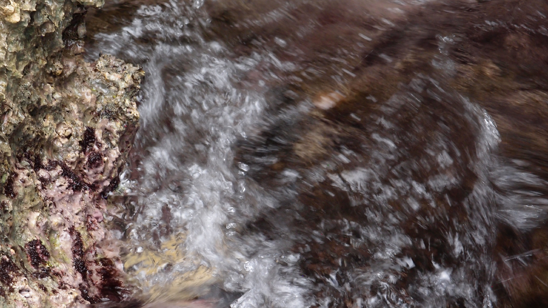 2022-04-14 02 Am Strand und im Wasser (Quallenvideo) (Foto, Video)