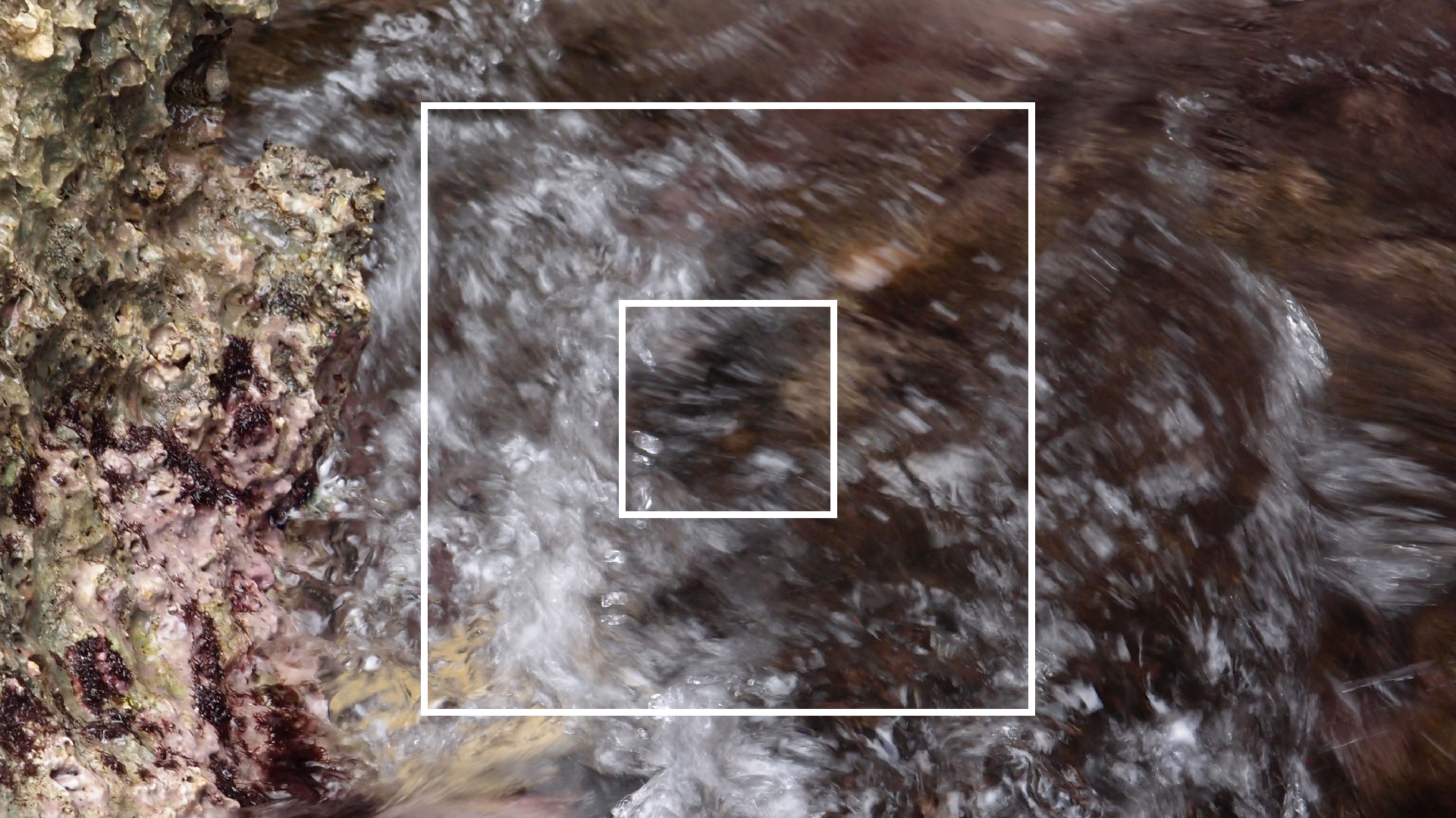 2022-04-14 02 Am Strand und im Wasser (Quallenvideo) (Foto, Video)