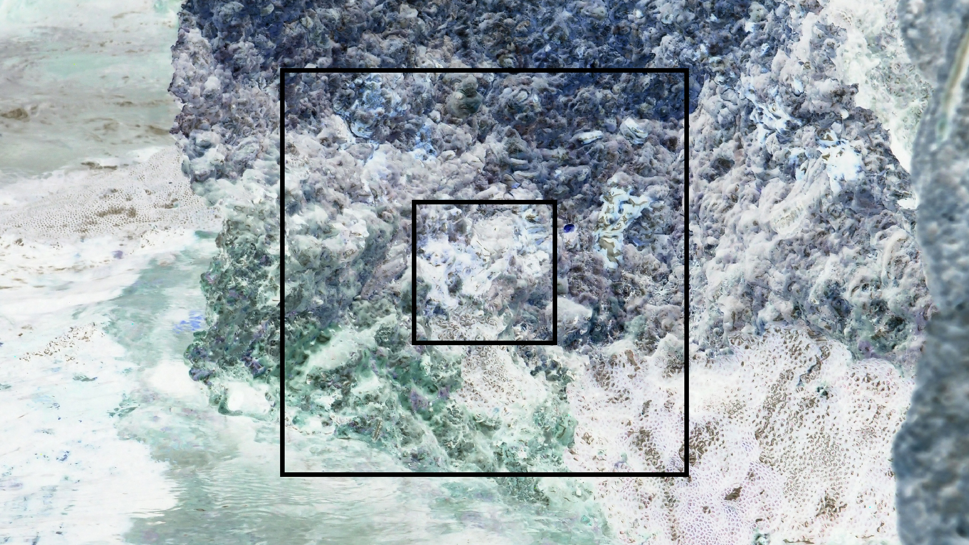 2022-04-14 02 Am Strand und im Wasser (Quallenvideo) (Foto, Video)