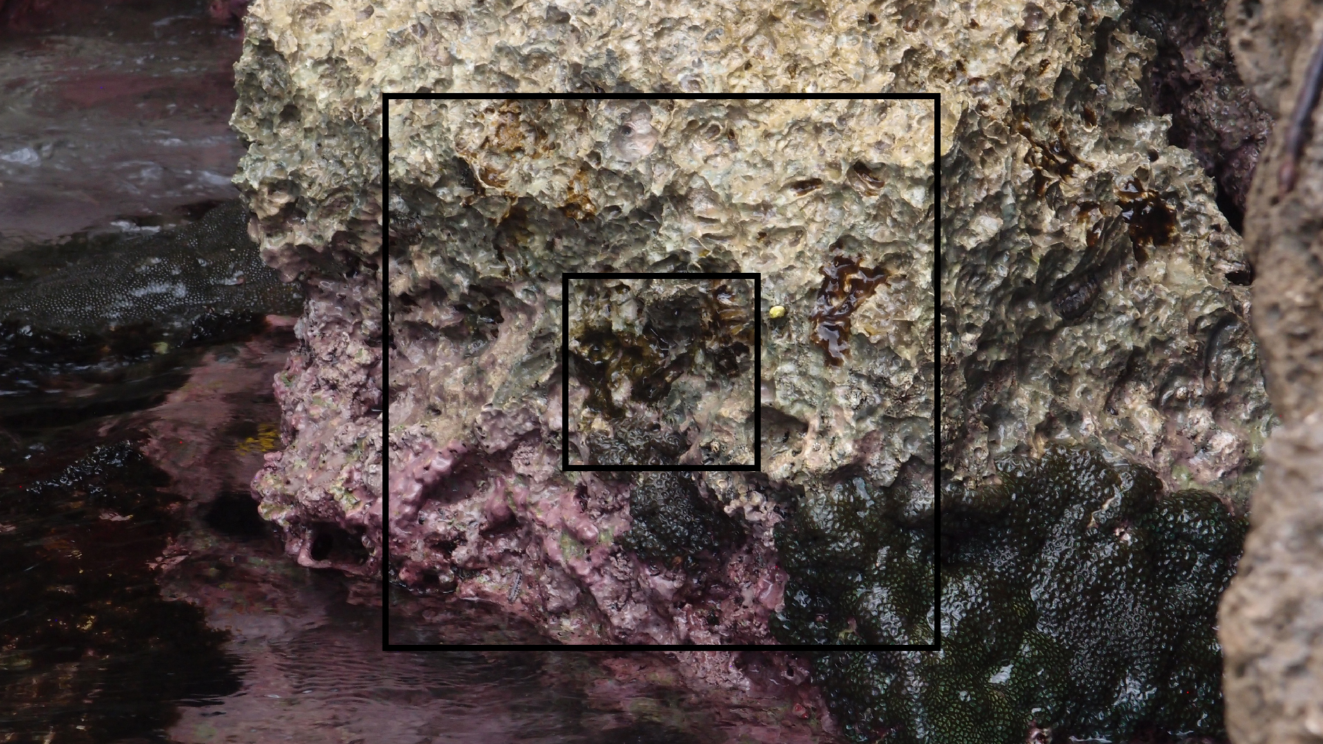 2022-04-14 02 Am Strand und im Wasser (Quallenvideo) (Foto, Video)