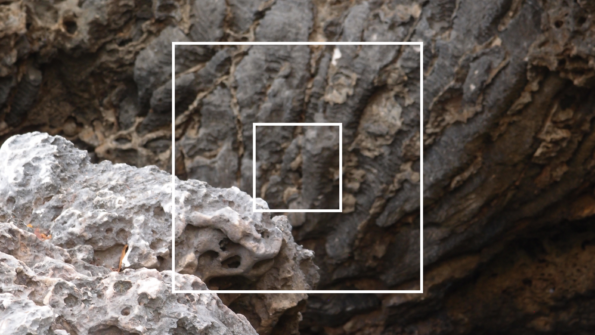 2022-04-14 02 Am Strand und im Wasser (Quallenvideo) (Foto, Video)