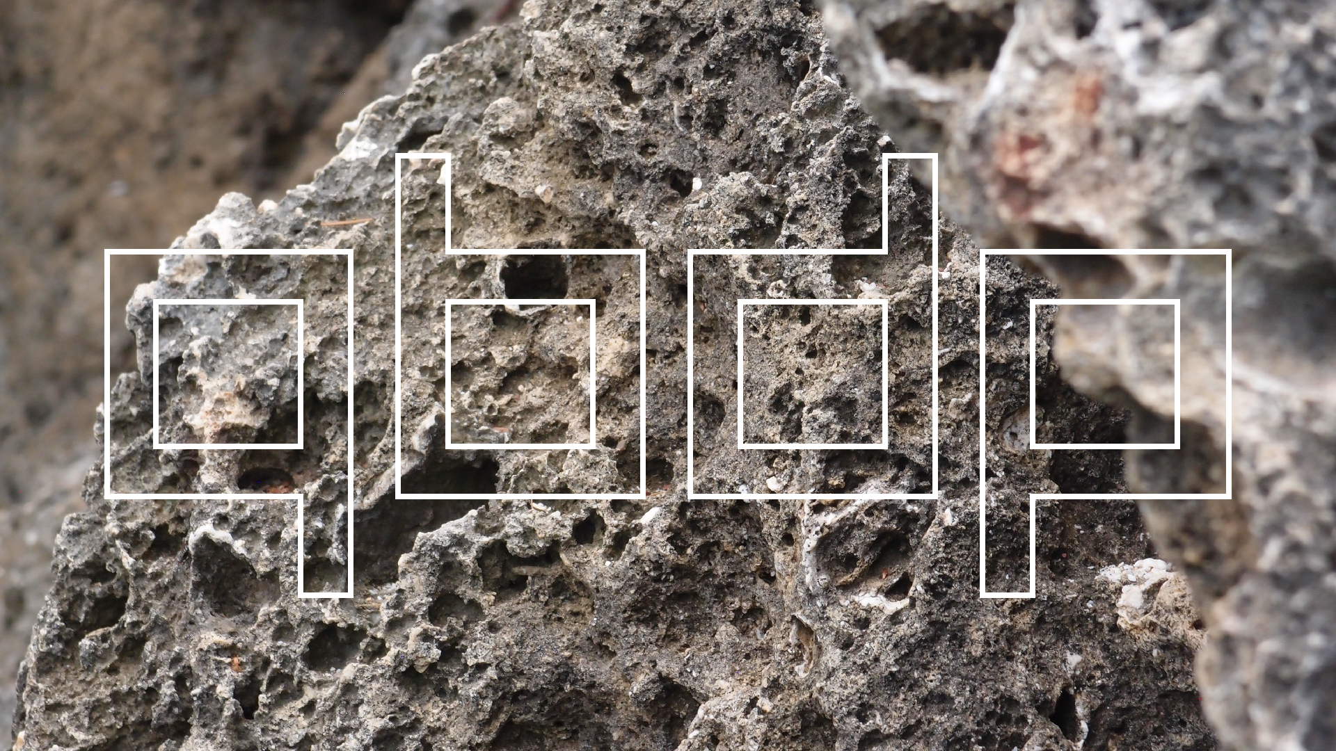 2022-04-14 02 Am Strand und im Wasser (Quallenvideo) (Foto, Video)