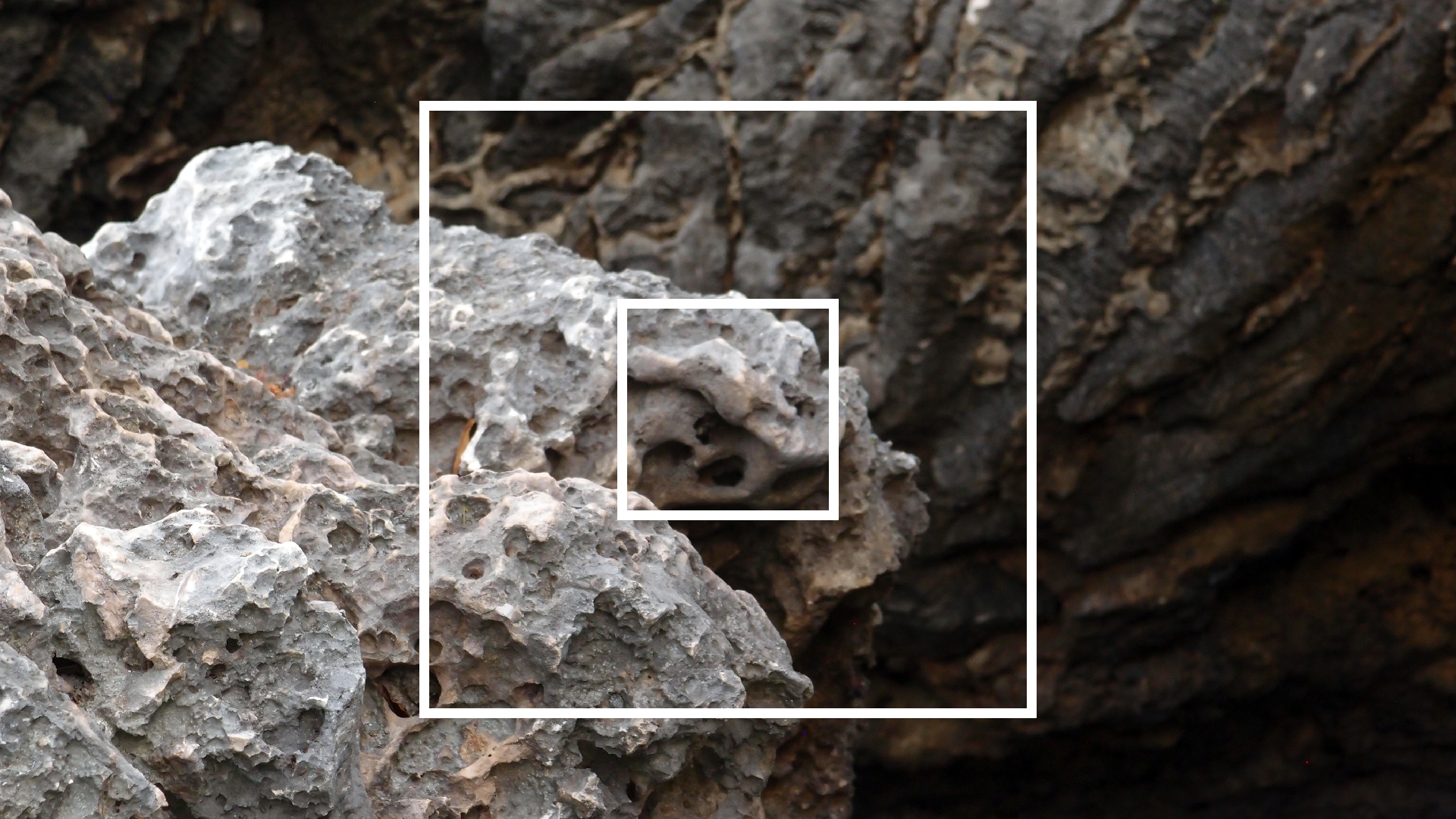 2022-04-14 02 Am Strand und im Wasser (Quallenvideo) (Foto, Video)