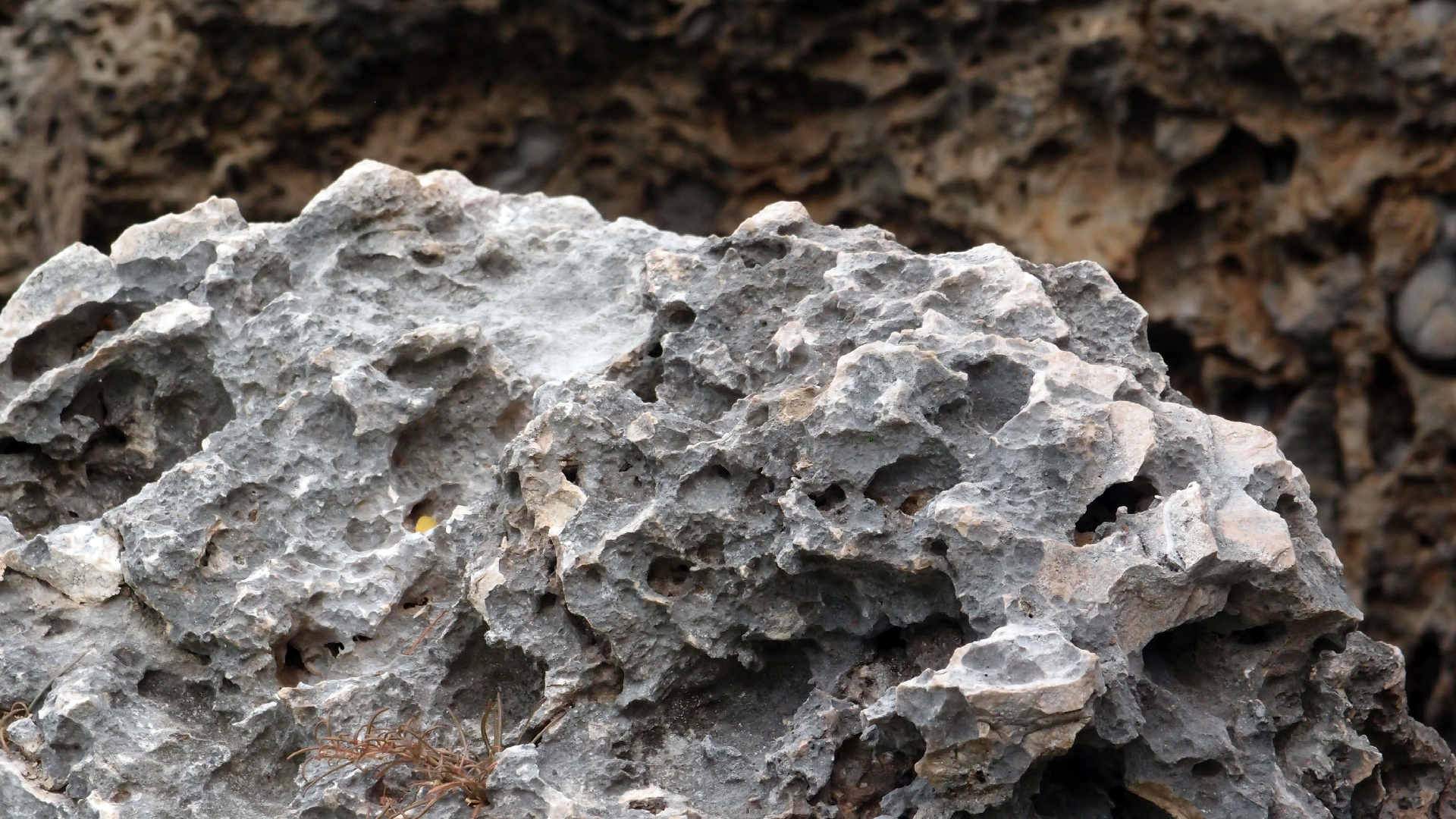 2022-04-14 02 Am Strand und im Wasser (Quallenvideo) (Foto, Video)