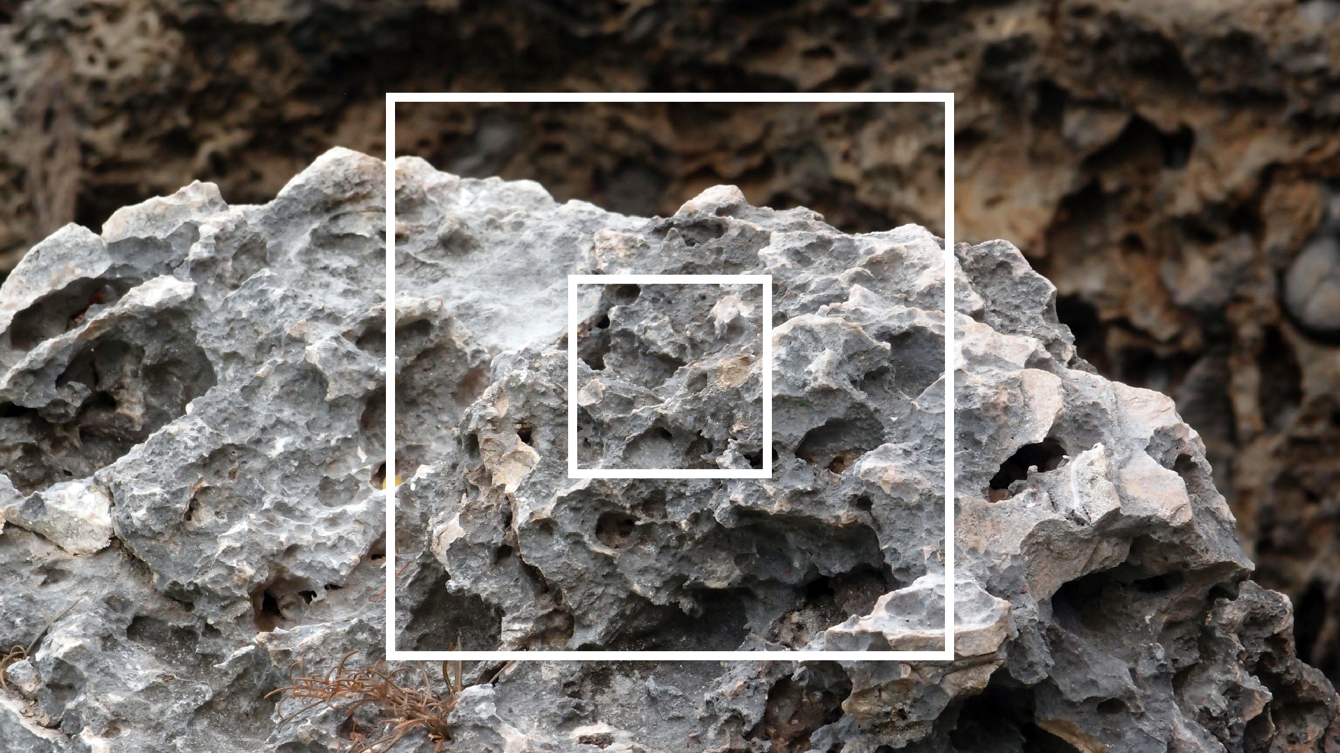 2022-04-14 02 Am Strand und im Wasser (Quallenvideo) (Foto, Video)