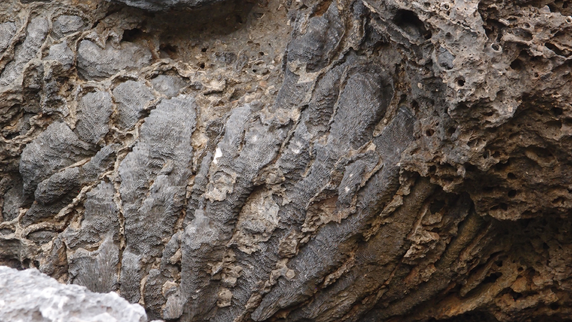 2022-04-14 02 Am Strand und im Wasser (Quallenvideo) (Foto, Video)