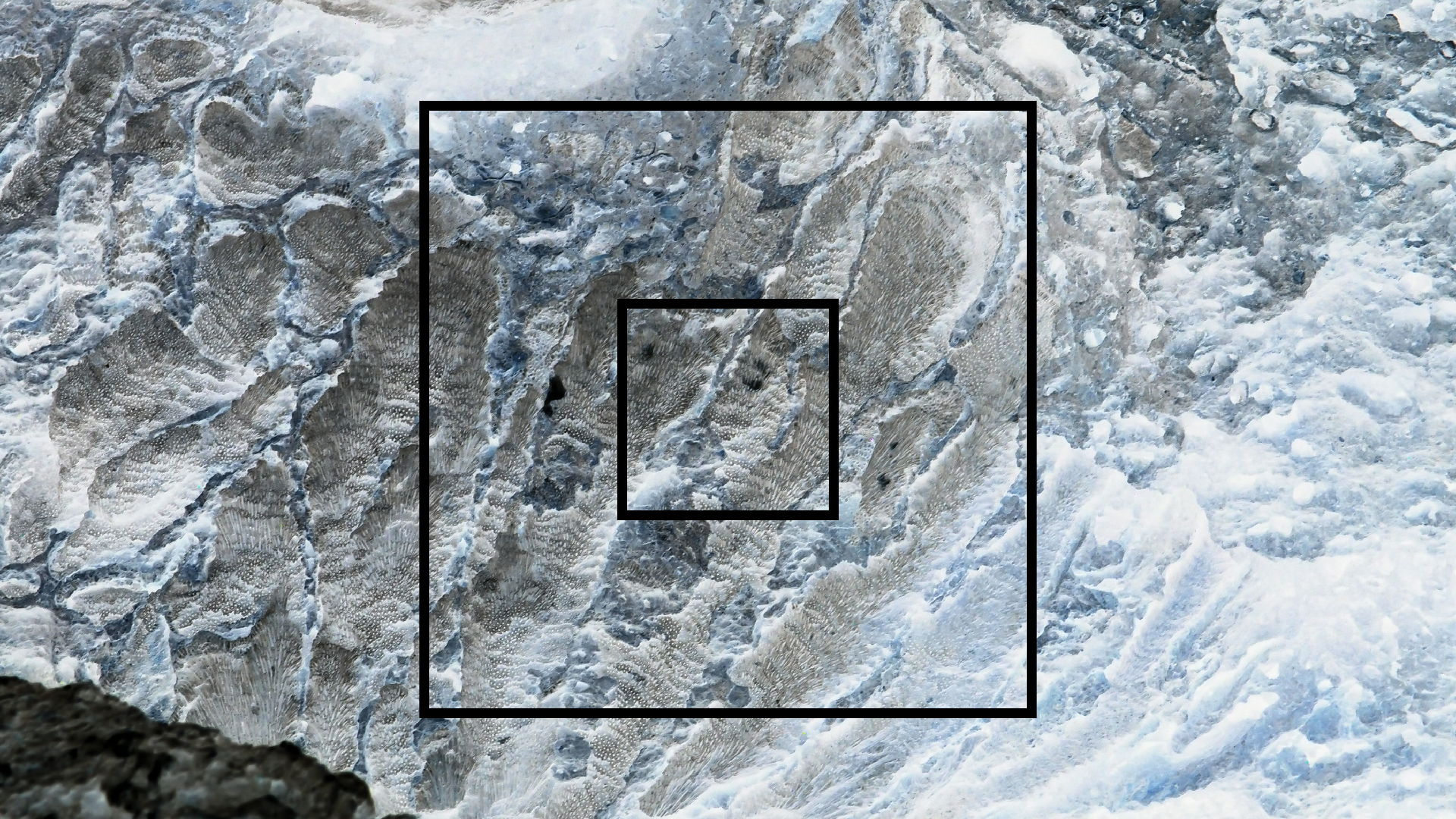 2022-04-14 02 Am Strand und im Wasser (Quallenvideo) (Foto, Video)