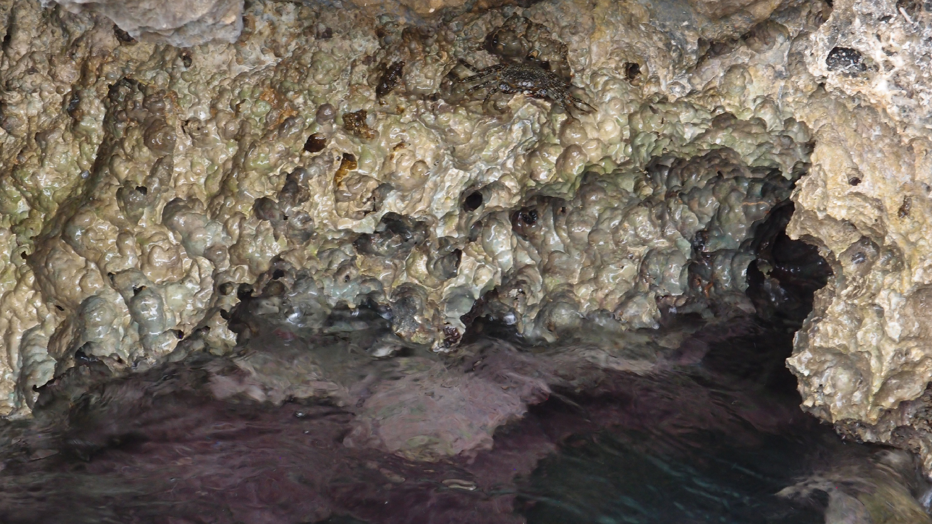 2022-04-14 02 Am Strand und im Wasser (Quallenvideo) (Foto, Video)