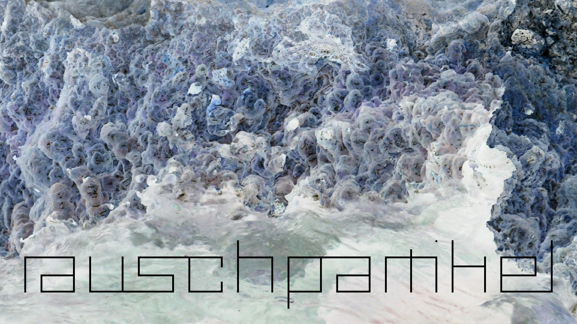 2022-04-14 02 Am Strand und im Wasser (Quallenvideo) (Foto, Video)