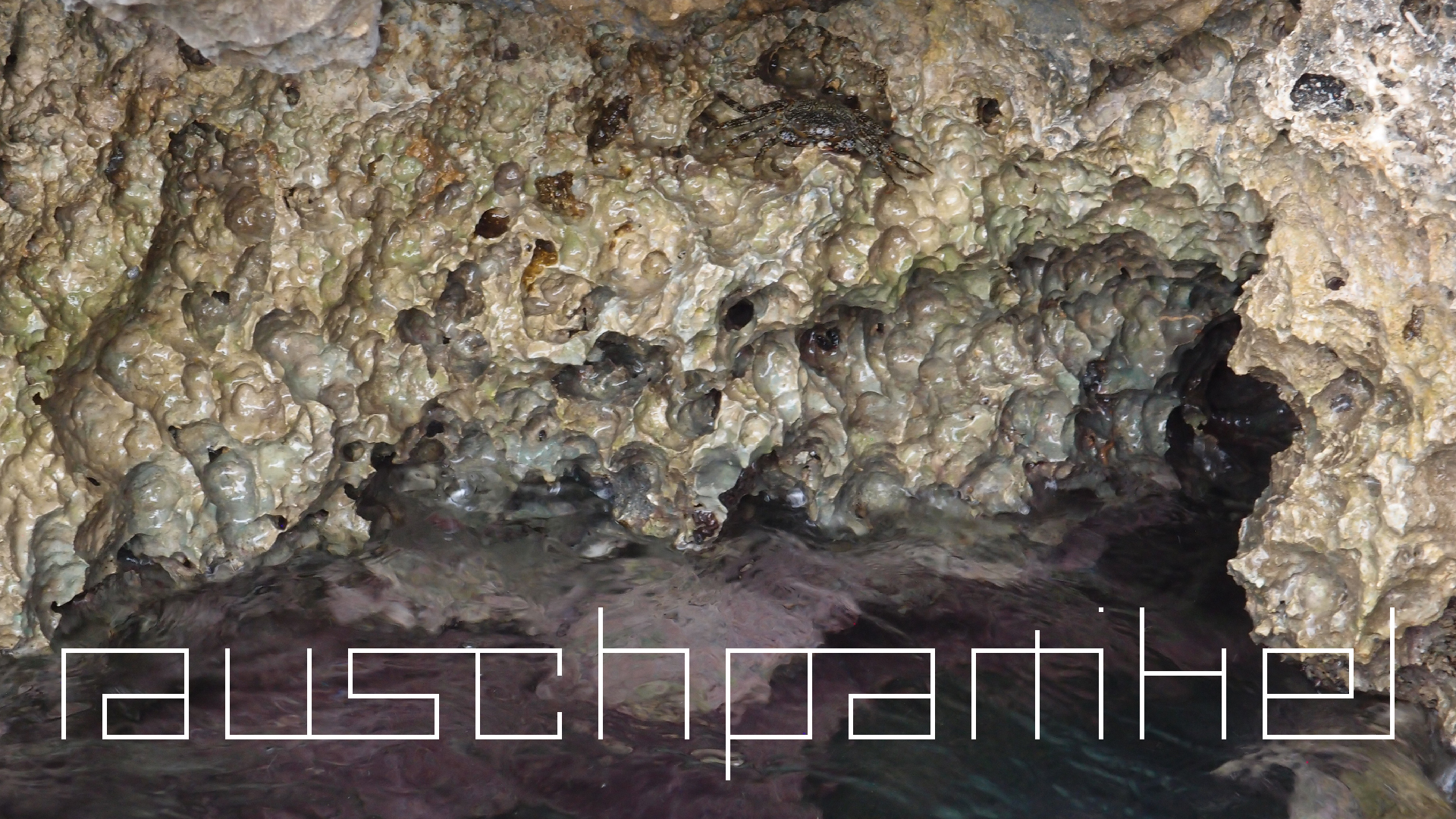 2022-04-14 02 Am Strand und im Wasser (Quallenvideo) (Foto, Video)