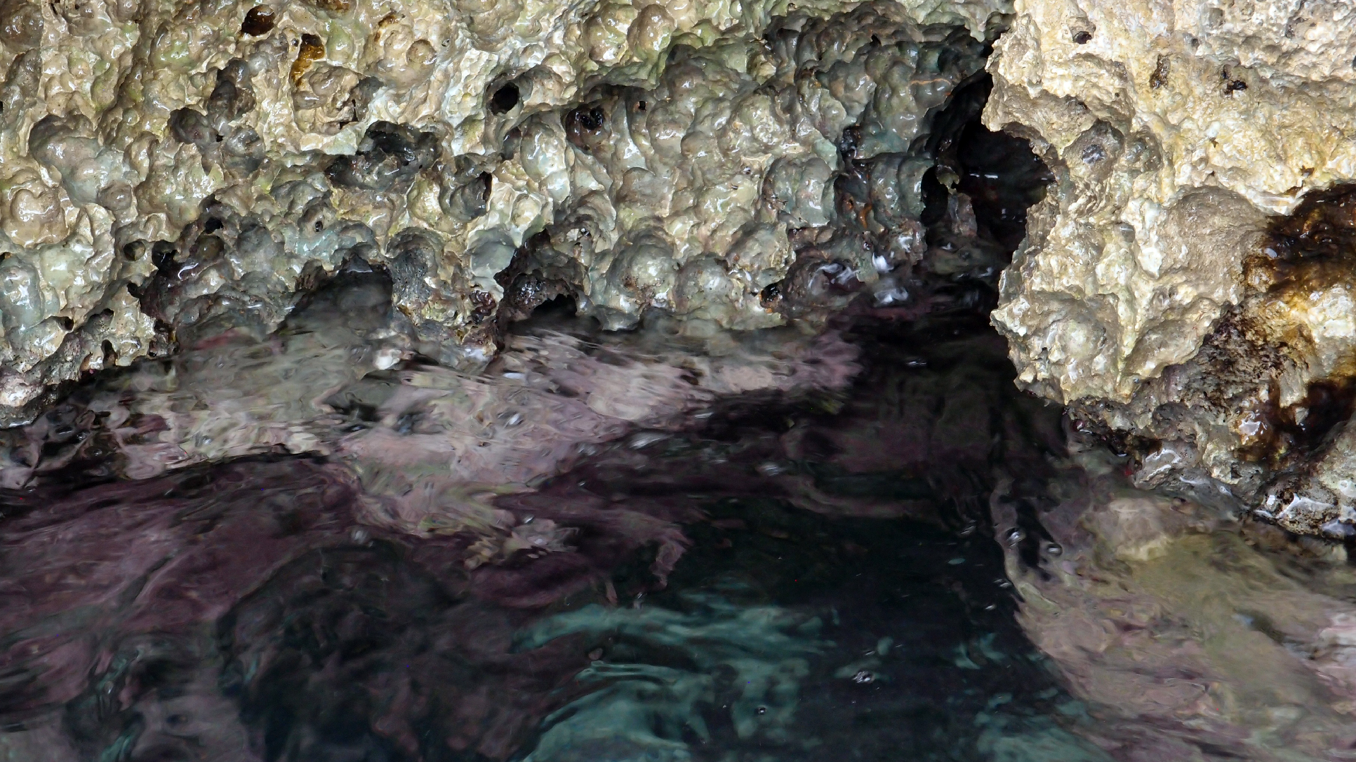 2022-04-14 02 Am Strand und im Wasser (Quallenvideo) (Foto, Video)