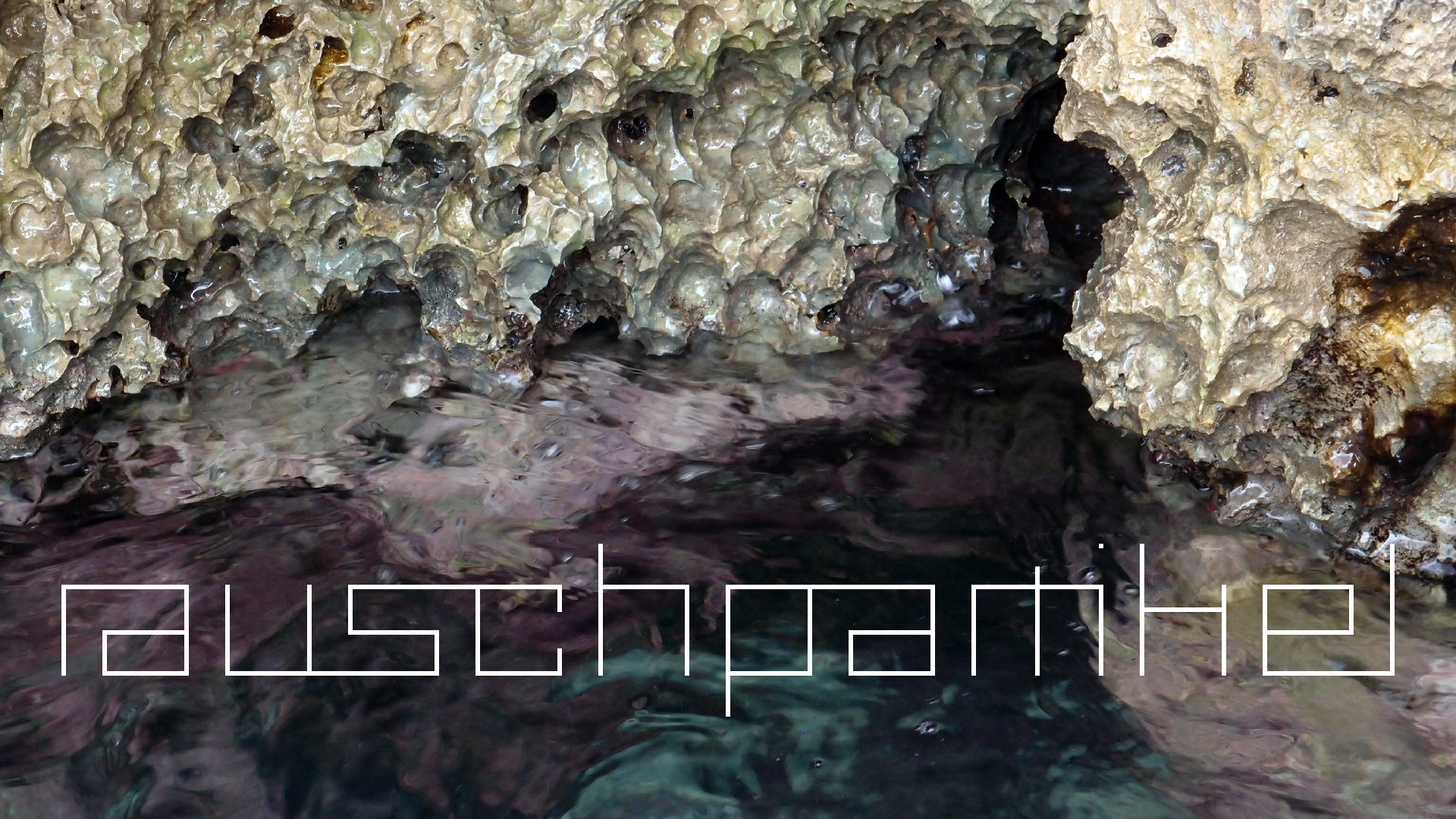 2022-04-14 02 Am Strand und im Wasser (Quallenvideo) (Foto, Video)