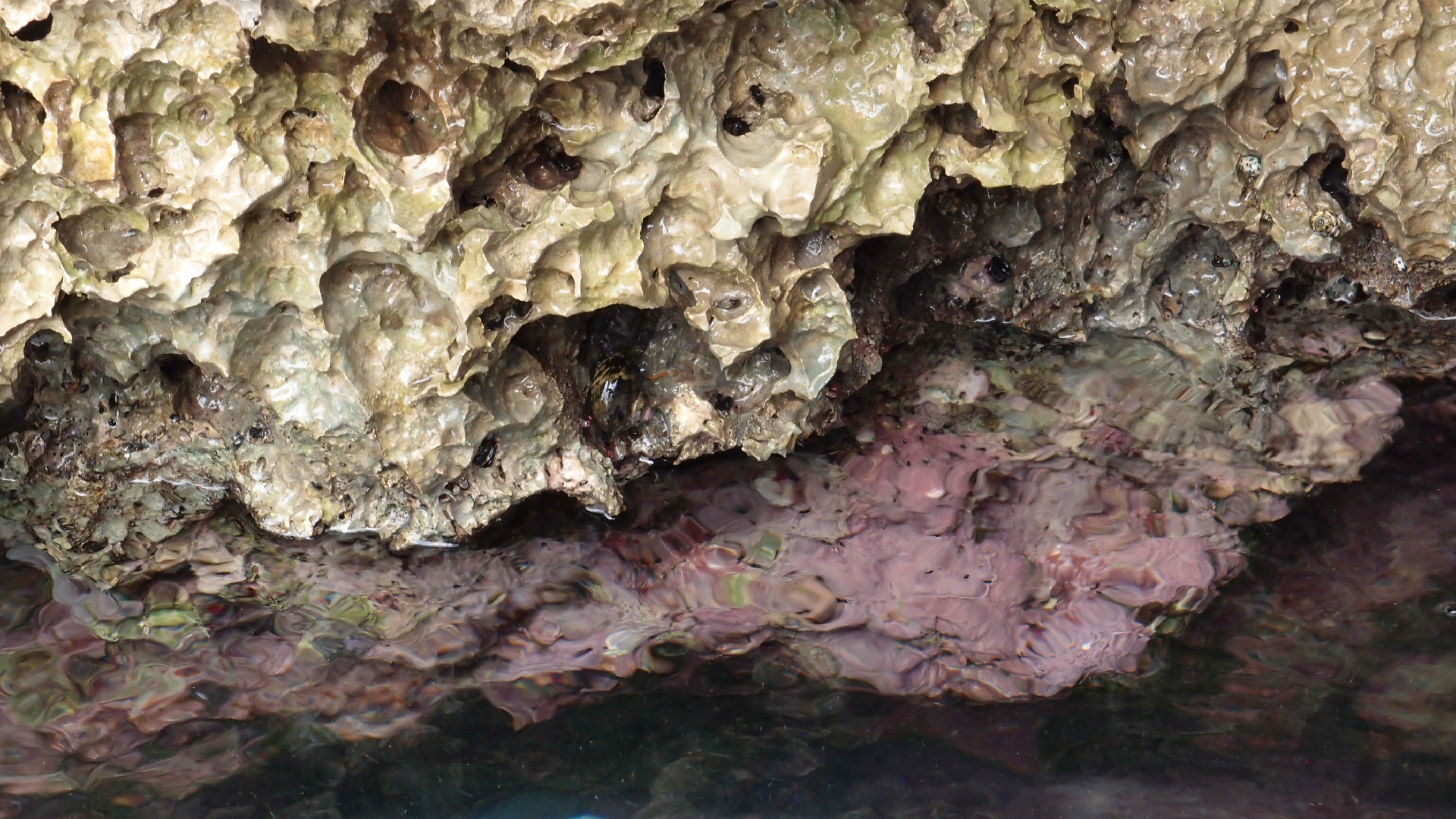 2022-04-14 02 Am Strand und im Wasser (Quallenvideo) (Foto, Video)