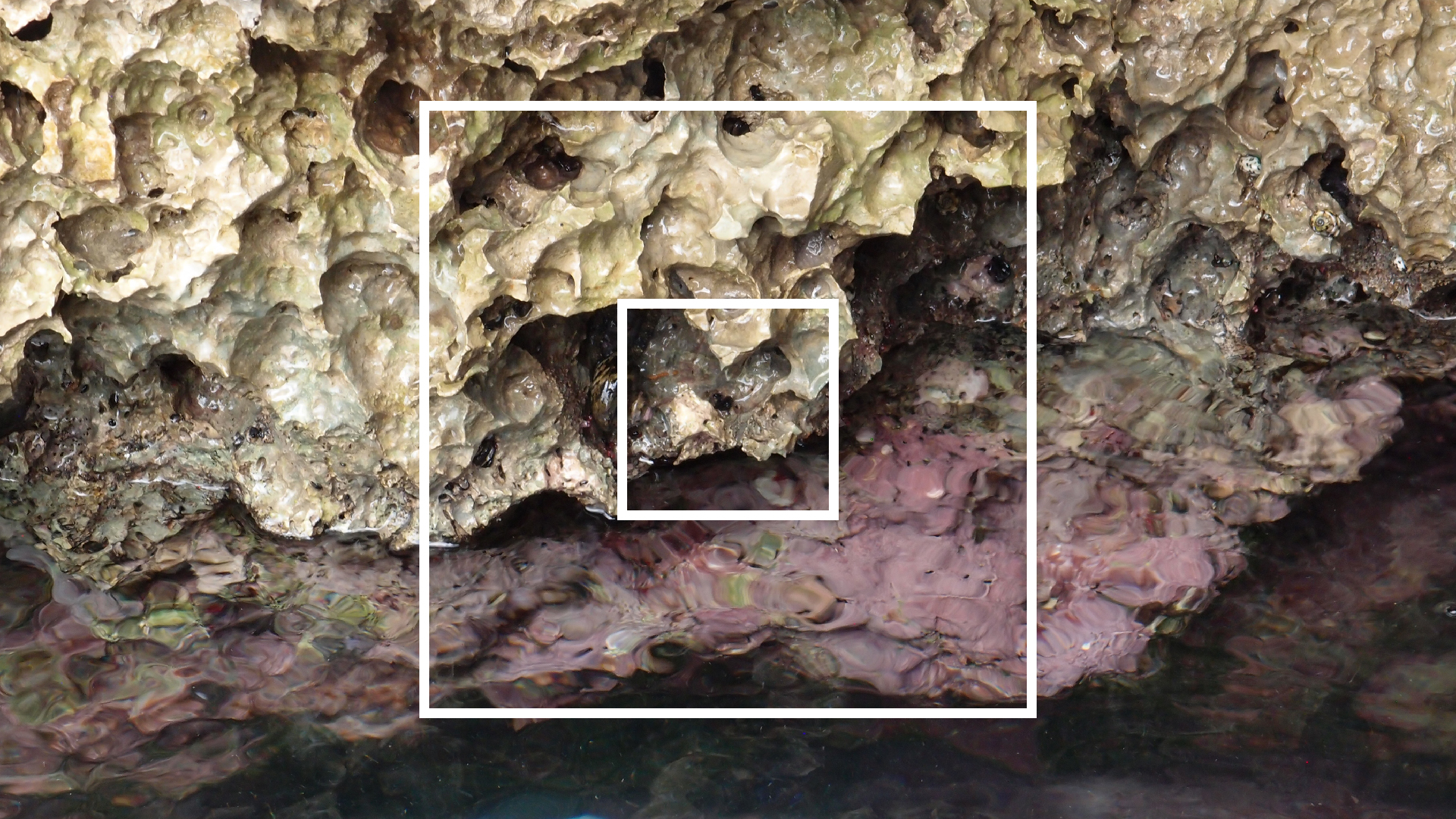 2022-04-14 02 Am Strand und im Wasser (Quallenvideo) (Foto, Video)