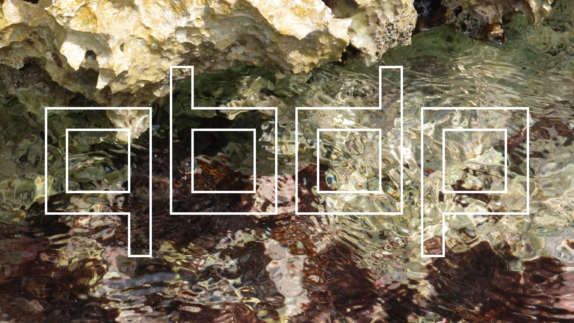 2022-04-14 02 Am Strand und im Wasser (Quallenvideo) (Foto, Video)