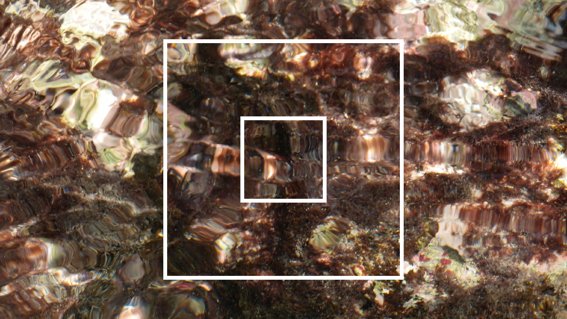 2022-04-14 02 Am Strand und im Wasser (Quallenvideo) (Foto, Video)