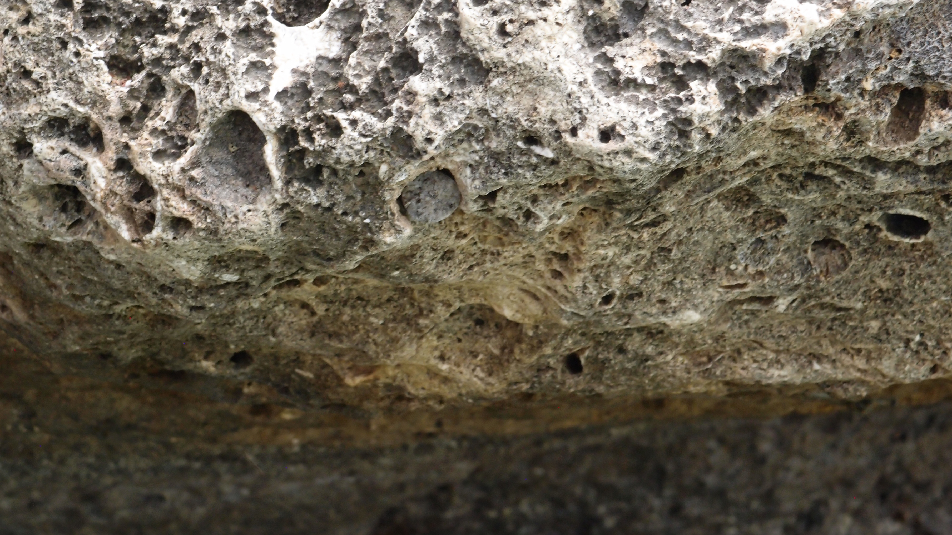 2022-04-14 02 Am Strand und im Wasser (Quallenvideo) (Foto, Video)