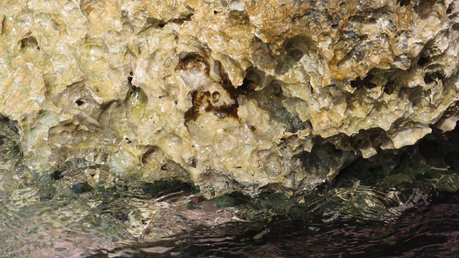 2022-04-14 02 Am Strand und im Wasser (Quallenvideo) (Foto, Video)