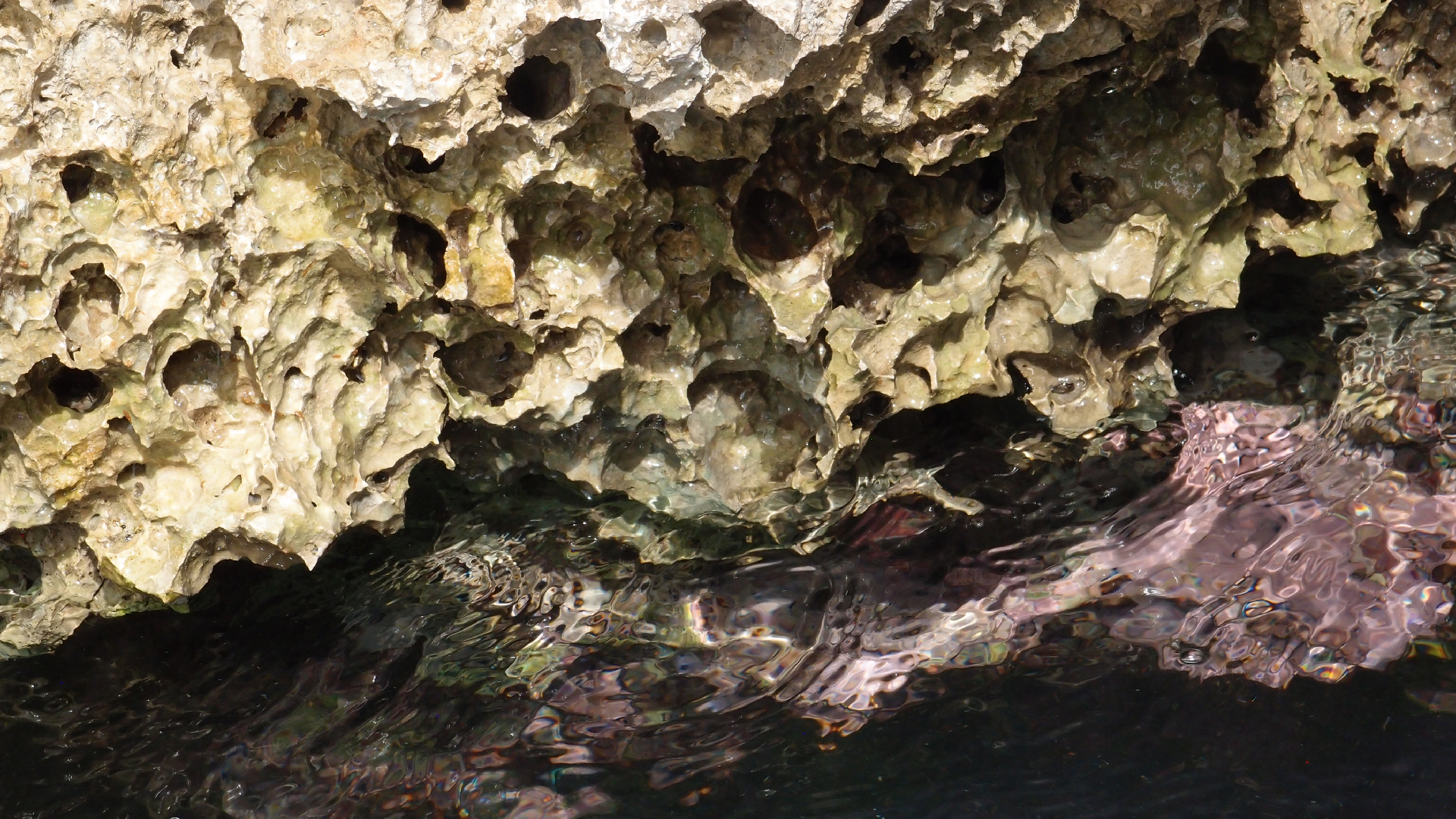 2022-04-14 02 Am Strand und im Wasser (Quallenvideo) (Foto, Video)