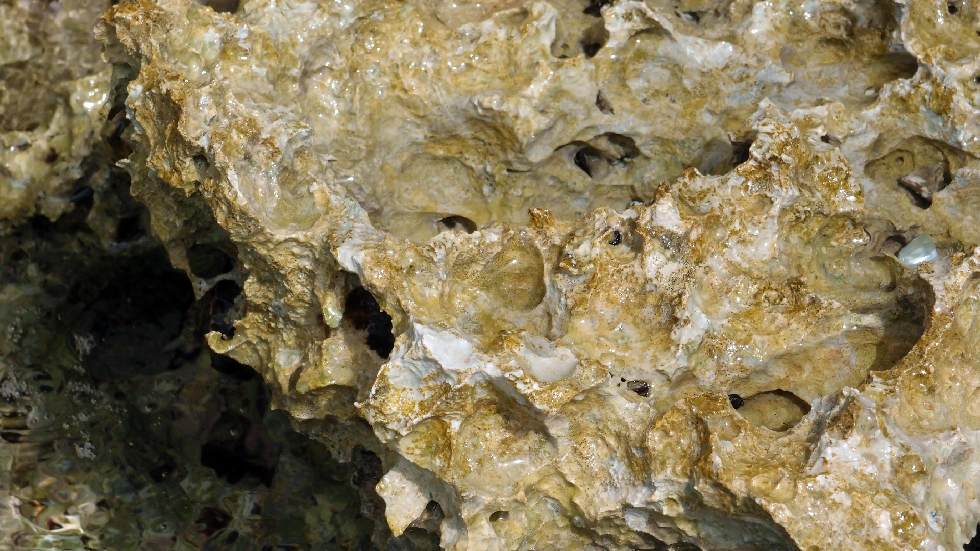 2022-04-14 02 Am Strand und im Wasser (Quallenvideo) (Foto, Video)