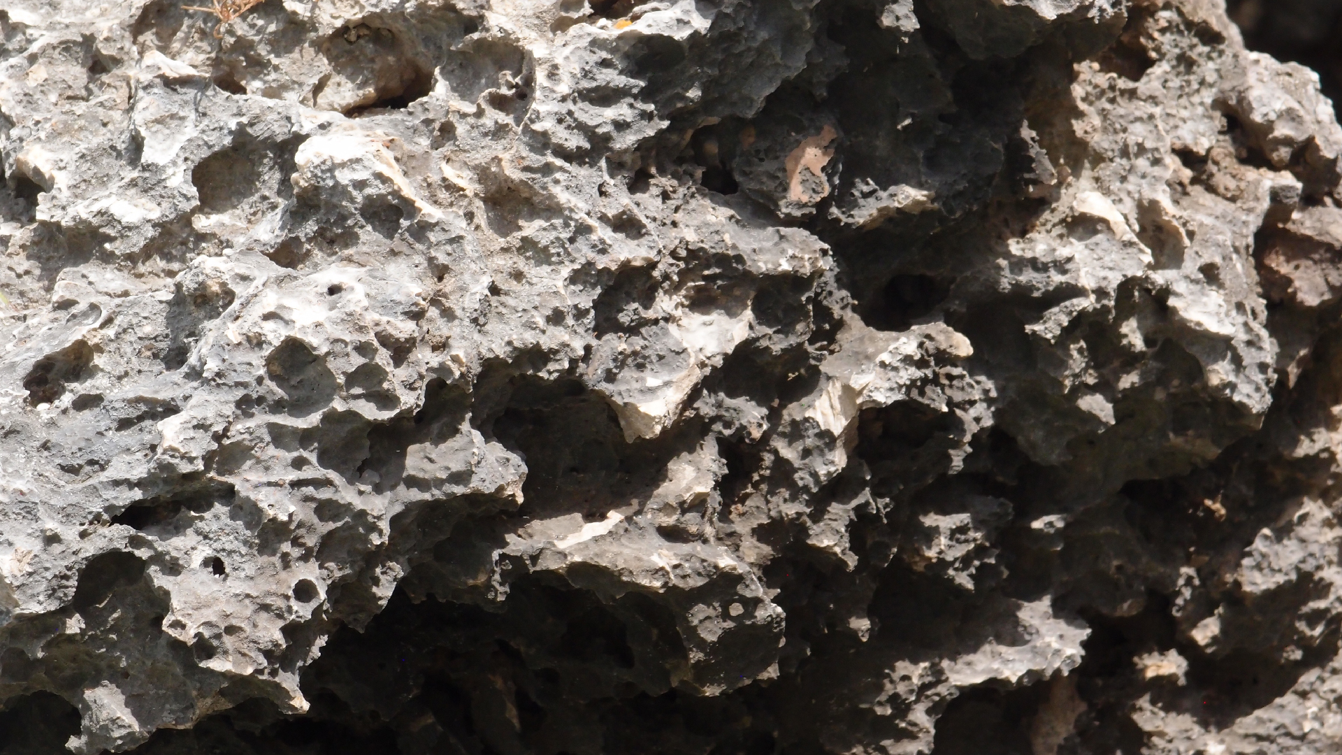 2022-04-14 02 Am Strand und im Wasser (Quallenvideo) (Foto, Video)