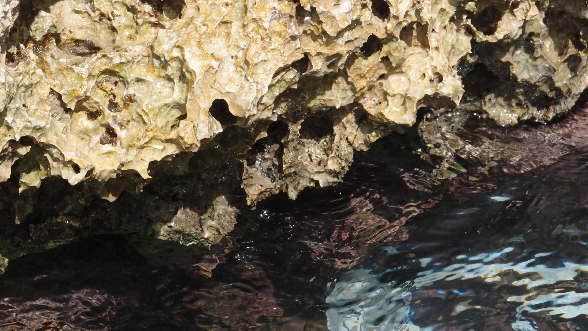 2022-04-14 02 Am Strand und im Wasser (Quallenvideo) (Foto, Video)