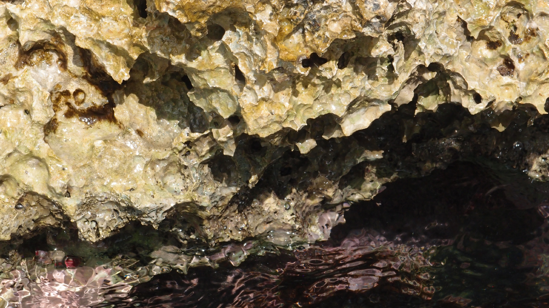 2022-04-14 02 Am Strand und im Wasser (Quallenvideo) (Foto, Video)