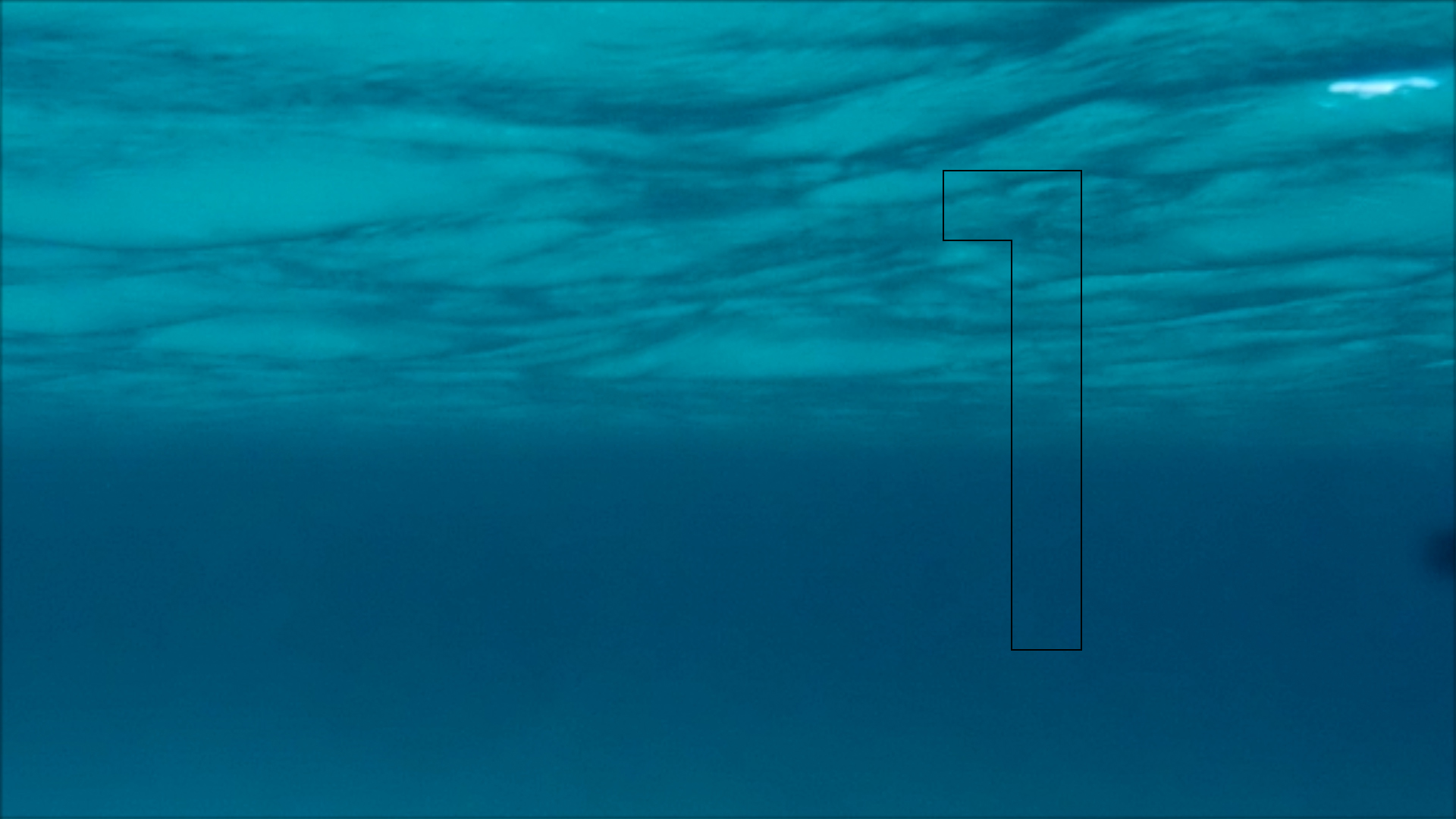 2022-04-14 Am Strand und im Wasser (Quallenvideo, Stills & Numbers) (Typo Grafik, Video)