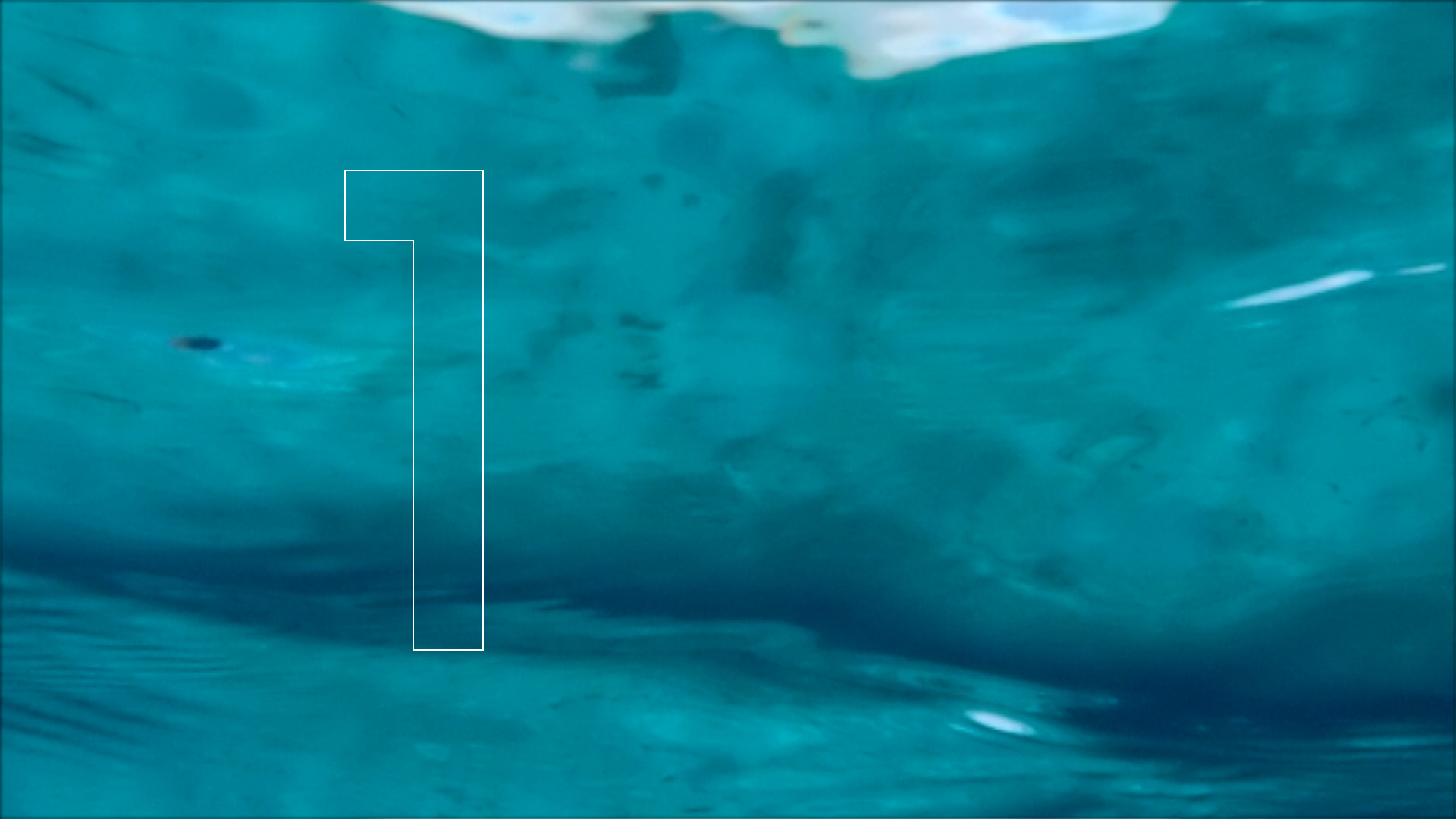 2022-04-14 Am Strand und im Wasser (Quallenvideo, Stills & Numbers) (Typo Grafik, Video)