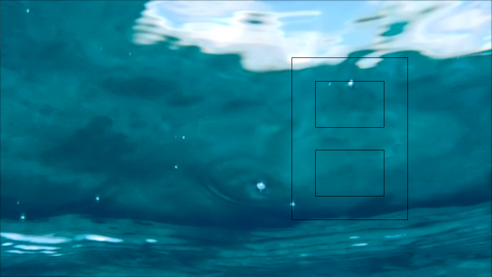 2022-04-14 Am Strand und im Wasser (Quallenvideo, Stills & Numbers) (Typo Grafik, Video)