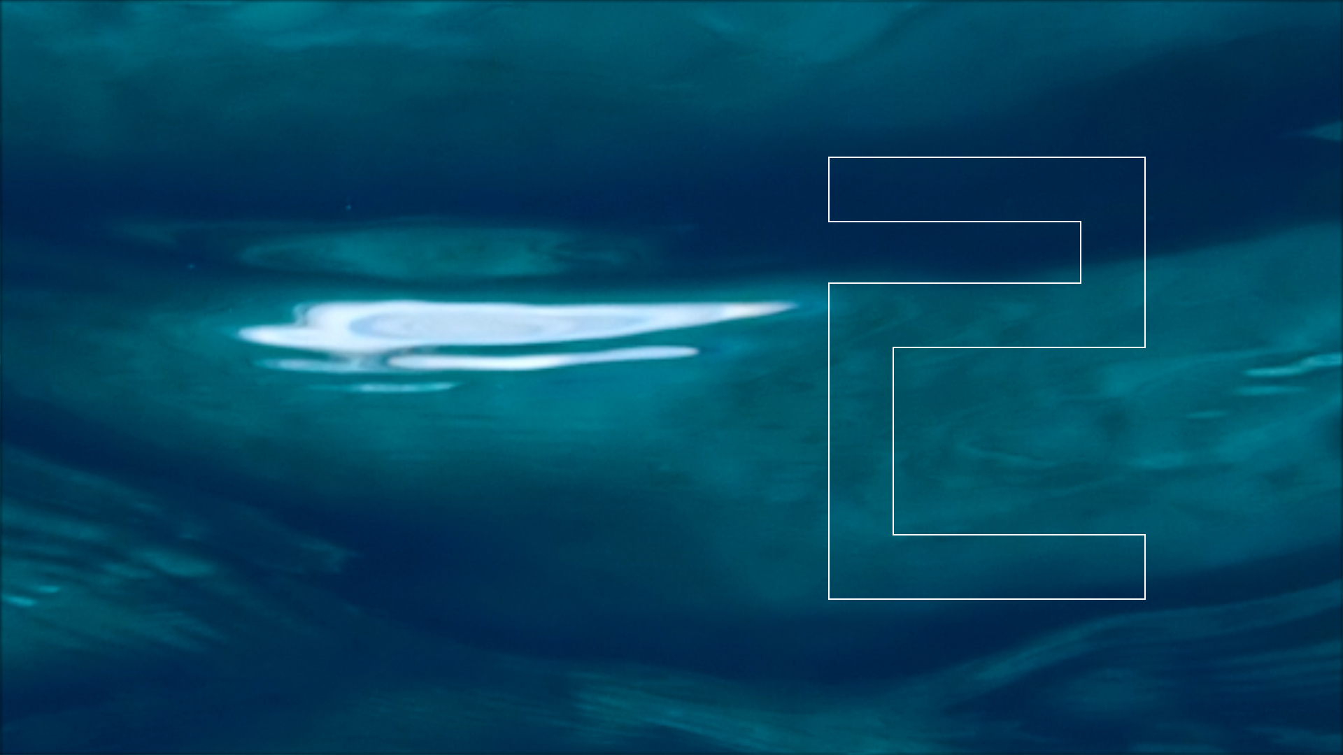 2022-04-14 Am Strand und im Wasser (Quallenvideo, Stills & Numbers) (Typo Grafik, Video)