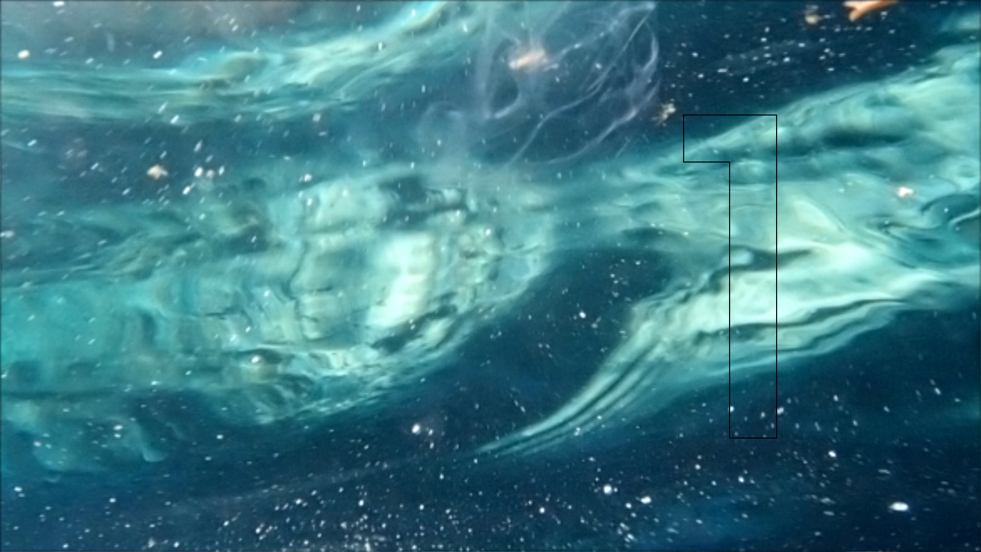 2022-04-14 Am Strand und im Wasser (Quallenvideo, Stills & Numbers) (Typo Grafik, Video)