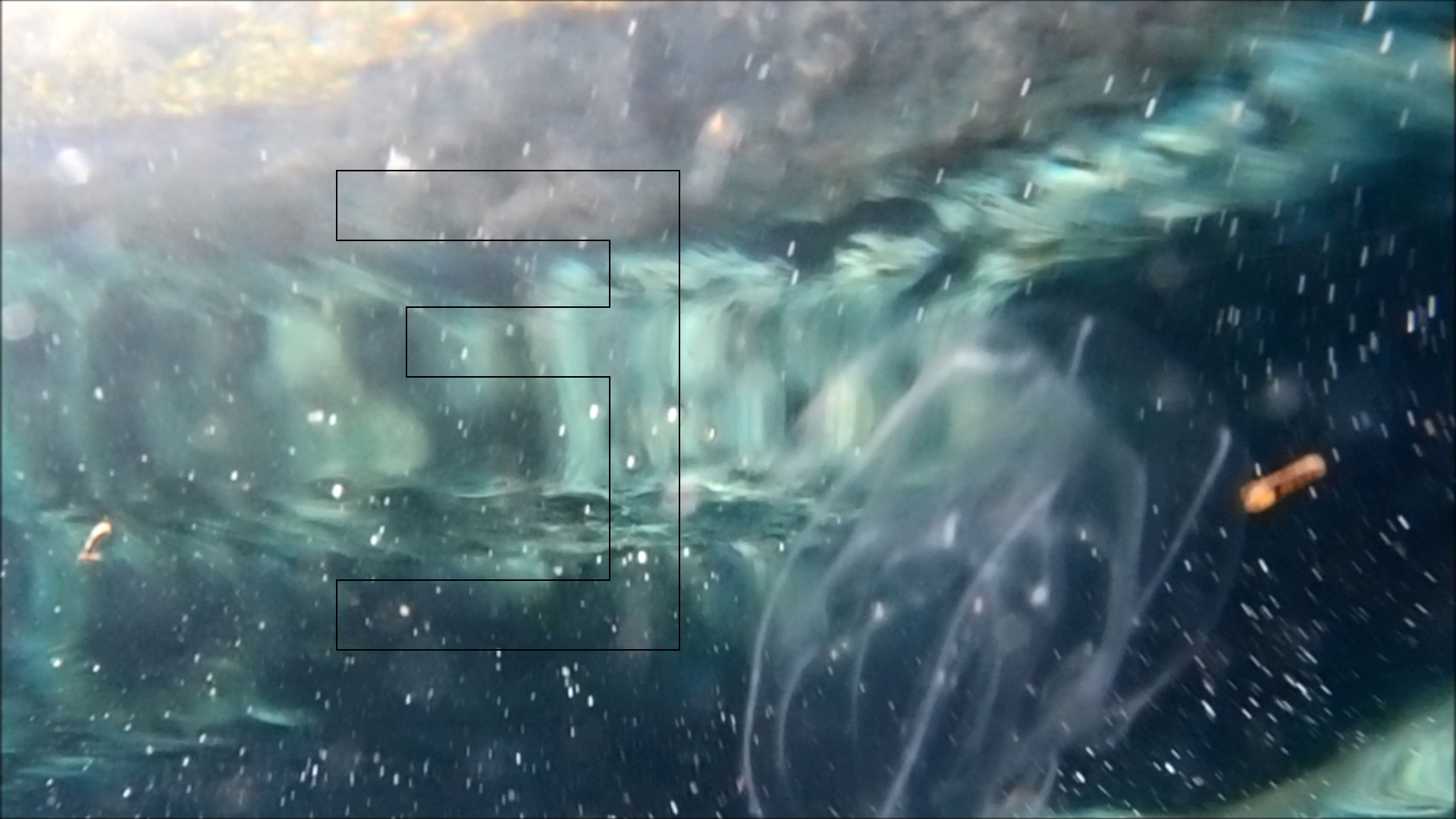 2022-04-14 Am Strand und im Wasser (Quallenvideo, Stills & Numbers) (Typo Grafik, Video)